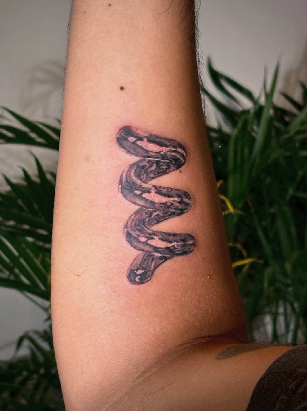 Snake surrealism tattoo on the forearm by *:・kelly✧*:・゚