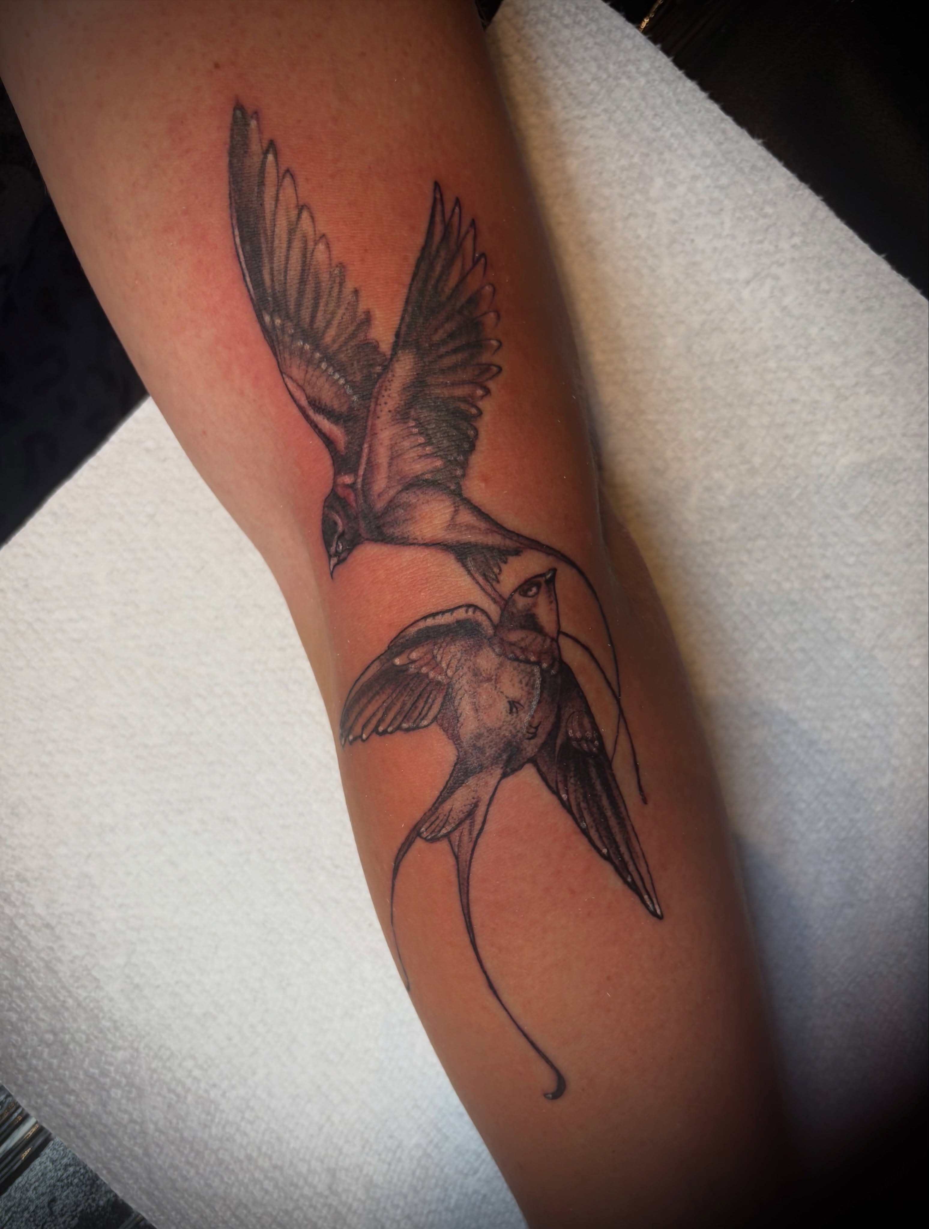 Swallows black and grey tattoo on the forearm by Calen Copeland