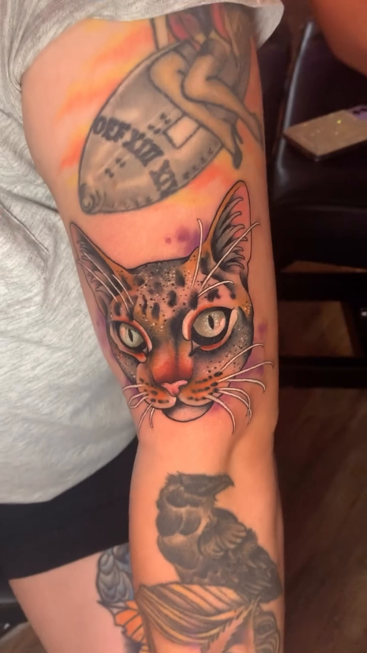 Cat portrait realism tattoo on the forearm by Olivia Marie