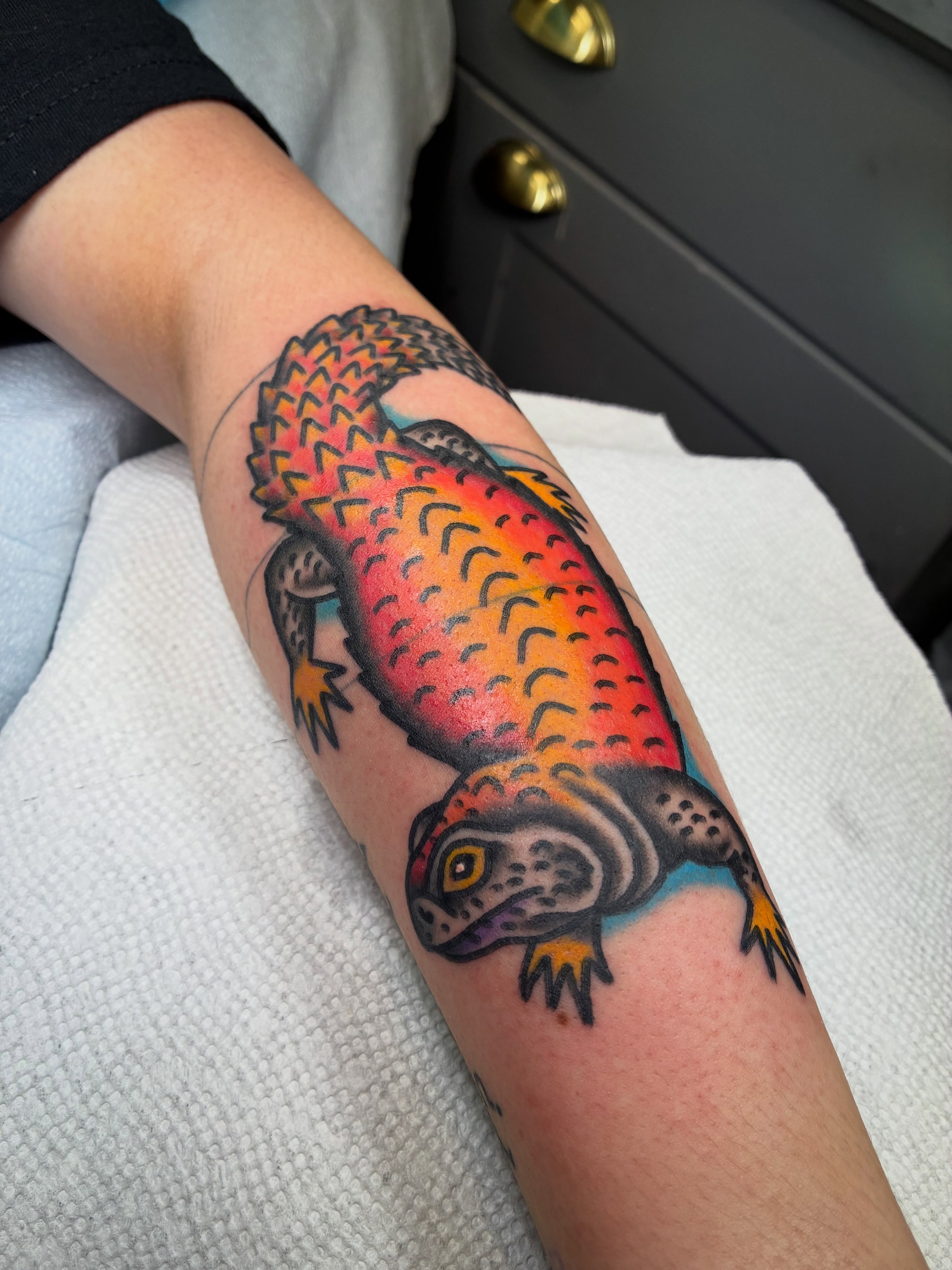Lizard American traditional tattoo on the forearm by @rubber_band_dan, San Francisco, California