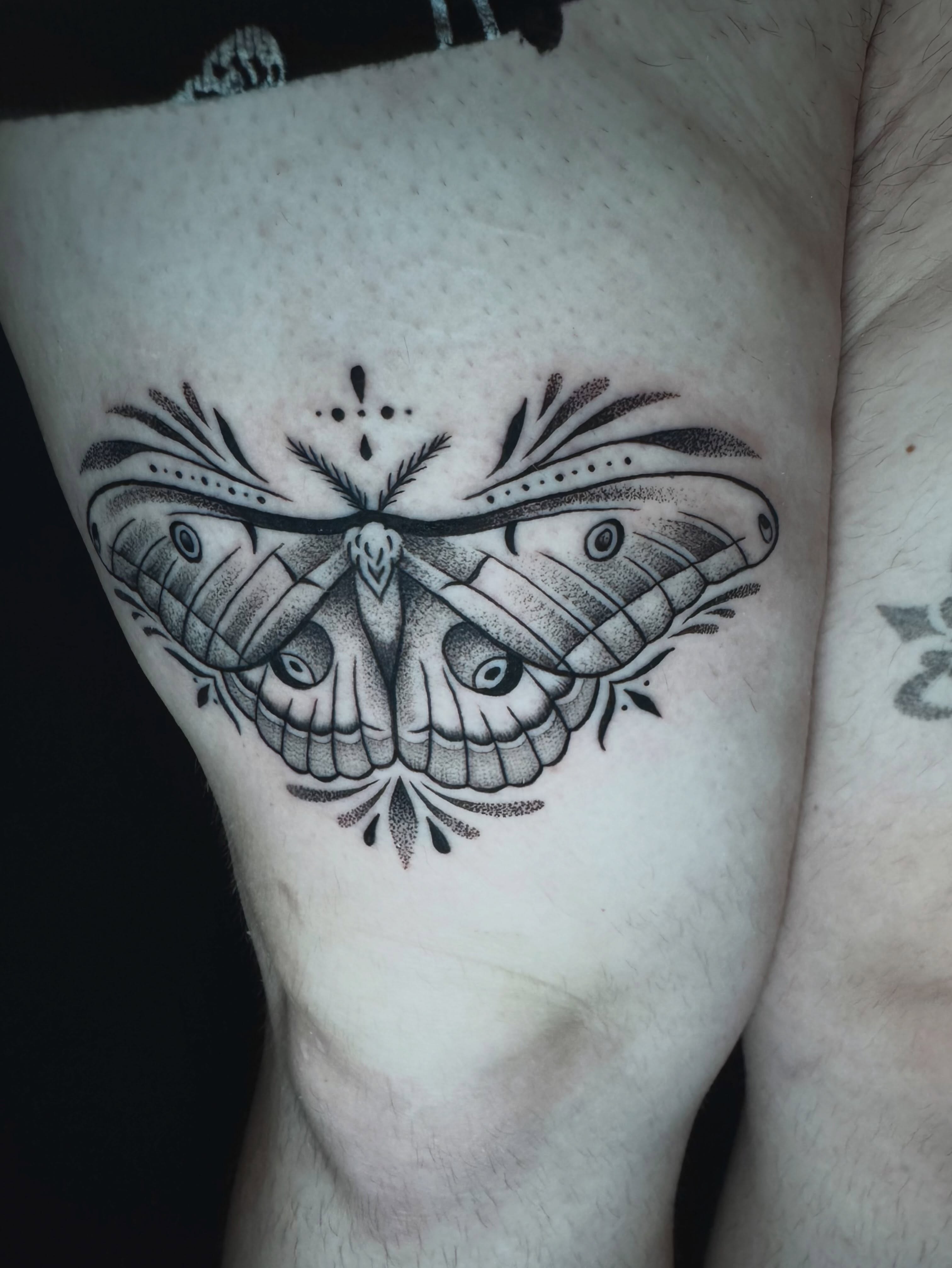 Moth dotwork tattoo on the thigh by Morgan Peeples