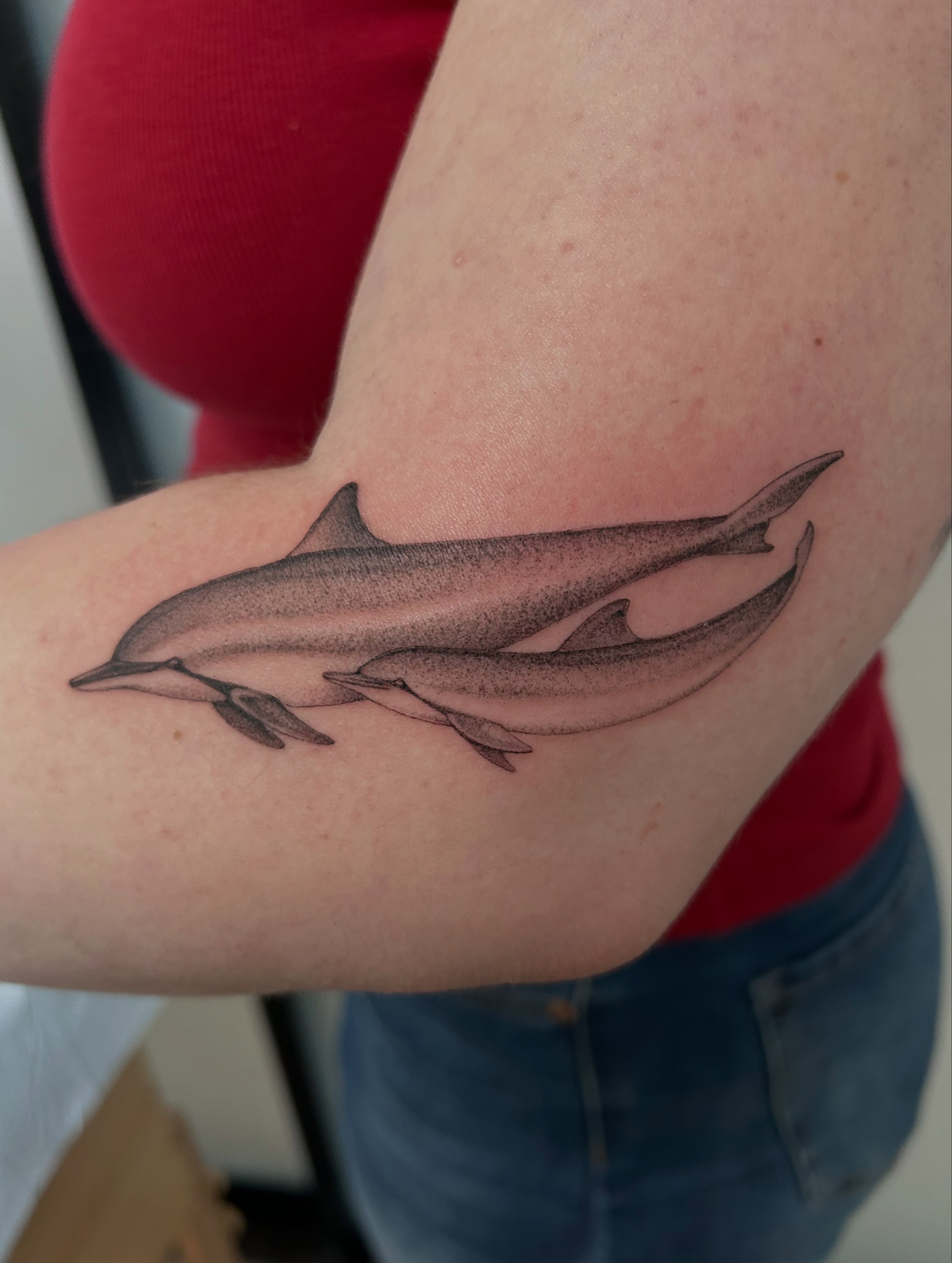 Dolphin dotwork tattoo on the forearm by Olivia Fox
