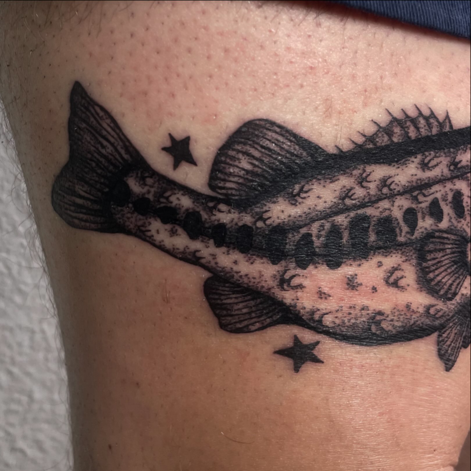 Fish black and grey tattoo on the forearm by sara ‧⭑𓆝 𓆟 𓆞 𓆝 𓆟 ⭑‧₊