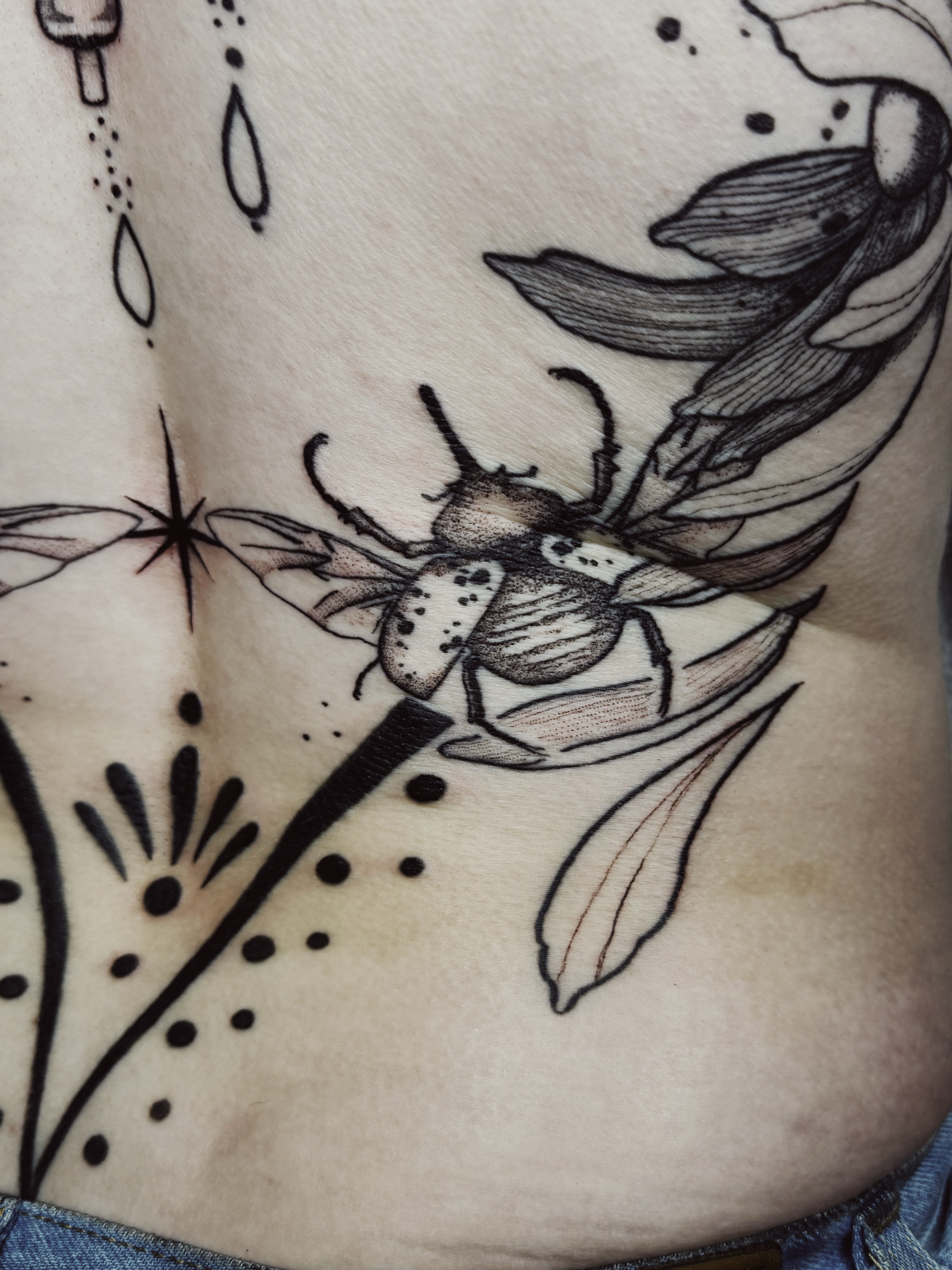 Beetle black and grey tattoo on the torso by πΉπ°π½πππ΄π½ πΆπ»π΄π½π½, North Logan, Utah