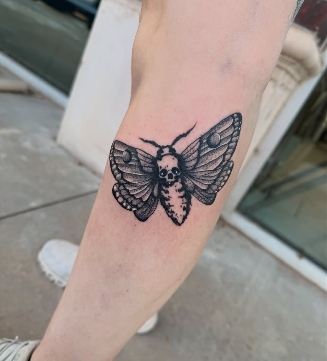 Moth dotwork tattoo on the forearm by Lexi Odam