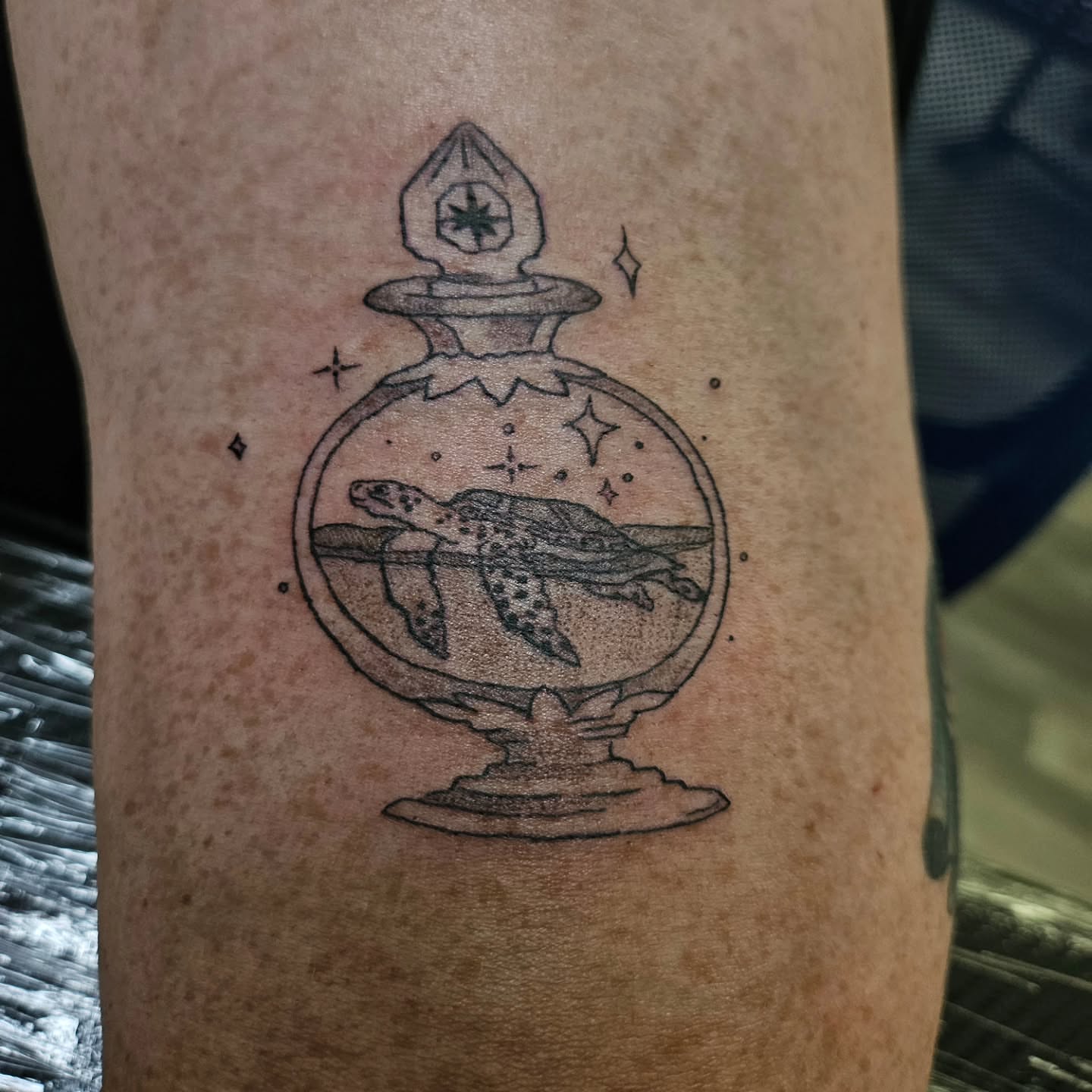 Turtle in glass sphere dotwork tattoo on the forearm by ݁˖