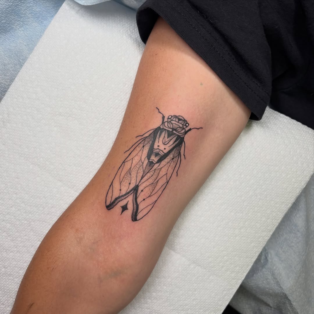 Cicada dotwork tattoo on the forearm by ππ‘ππ―π² πππ₯π₯ππ²
