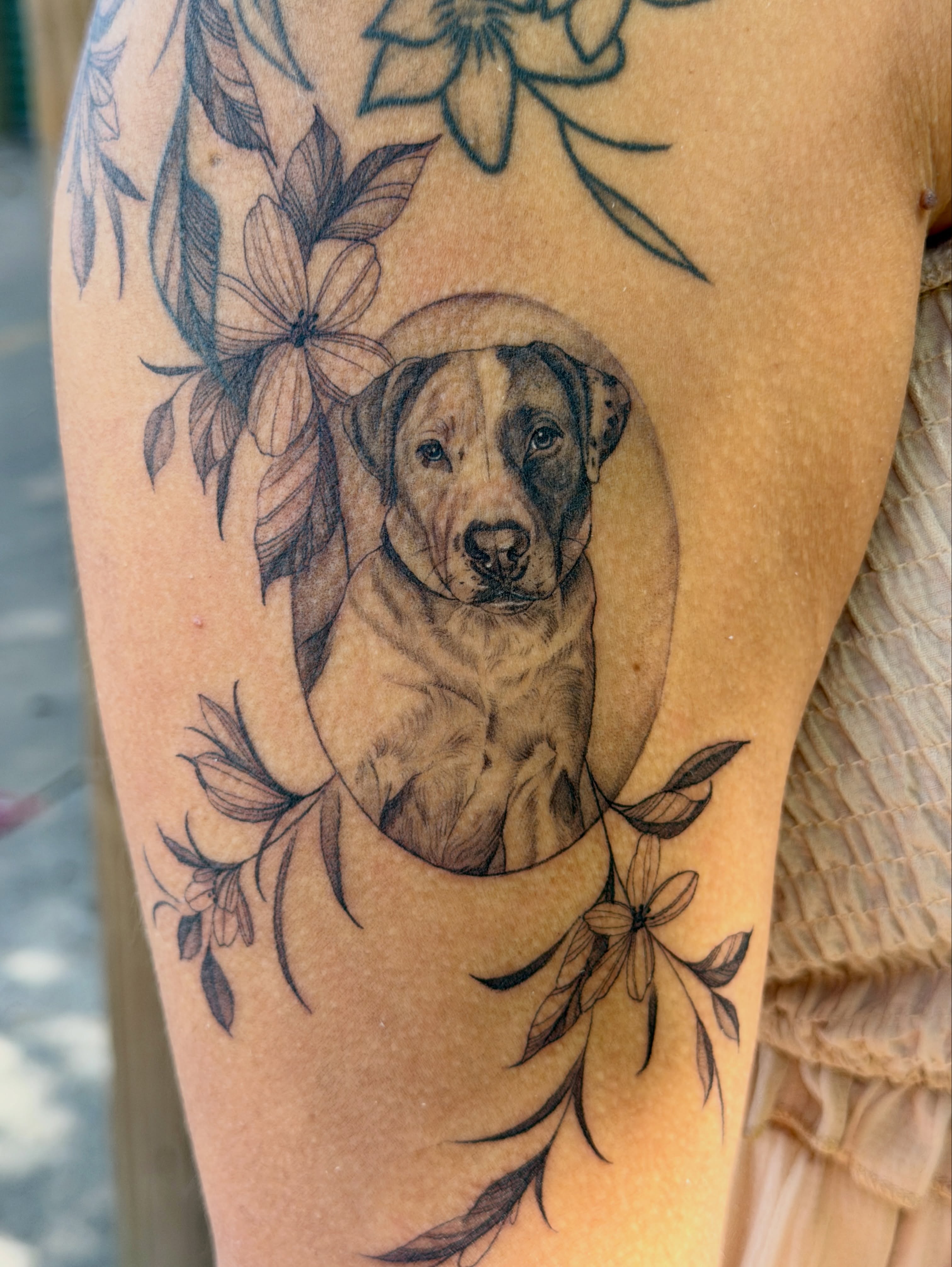 Dog portrait realism tattoo on the forearm by Melissa Rose Moya