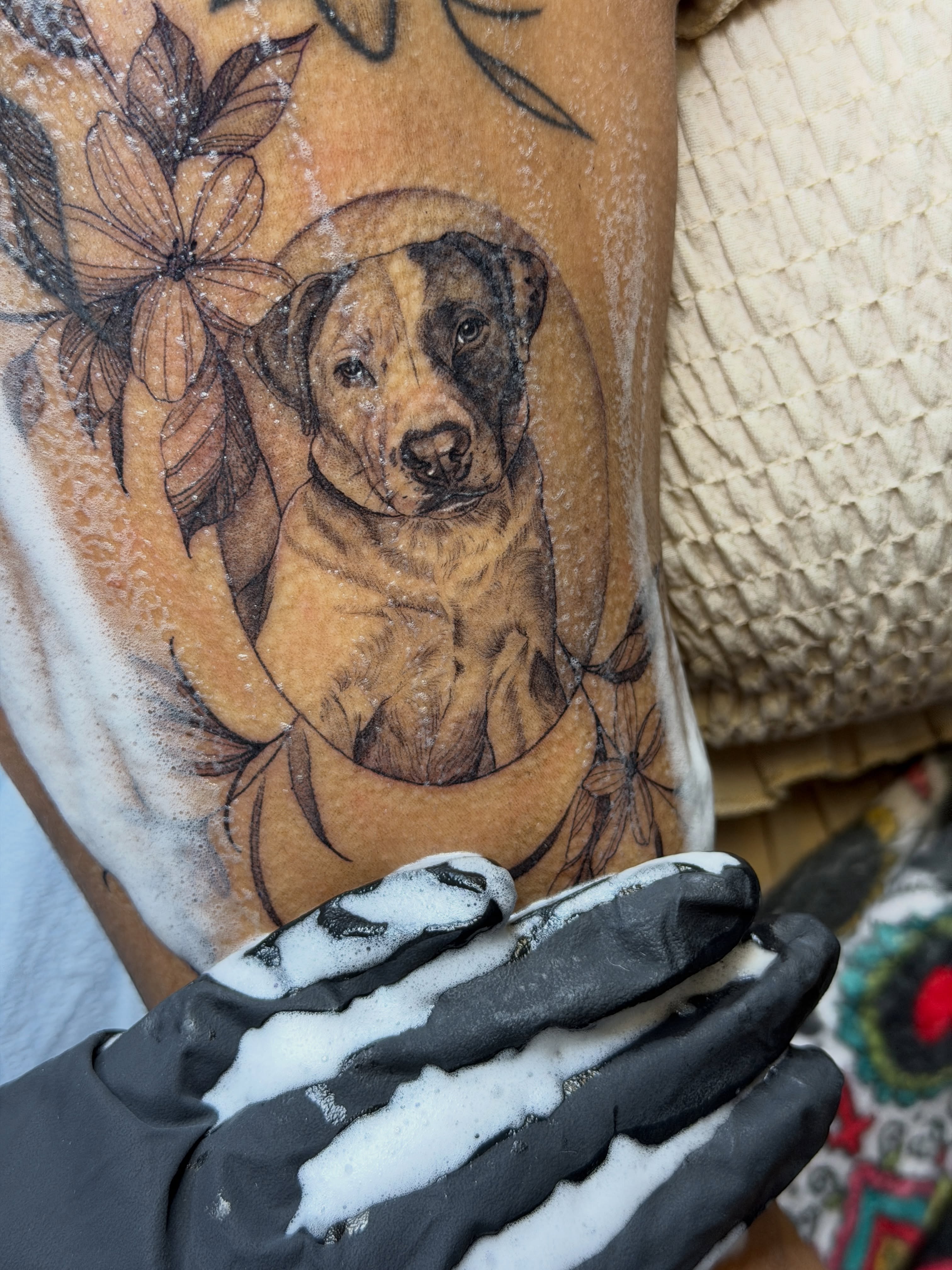 Dog portrait realism tattoo on the forearm by Melissa Rose Moya