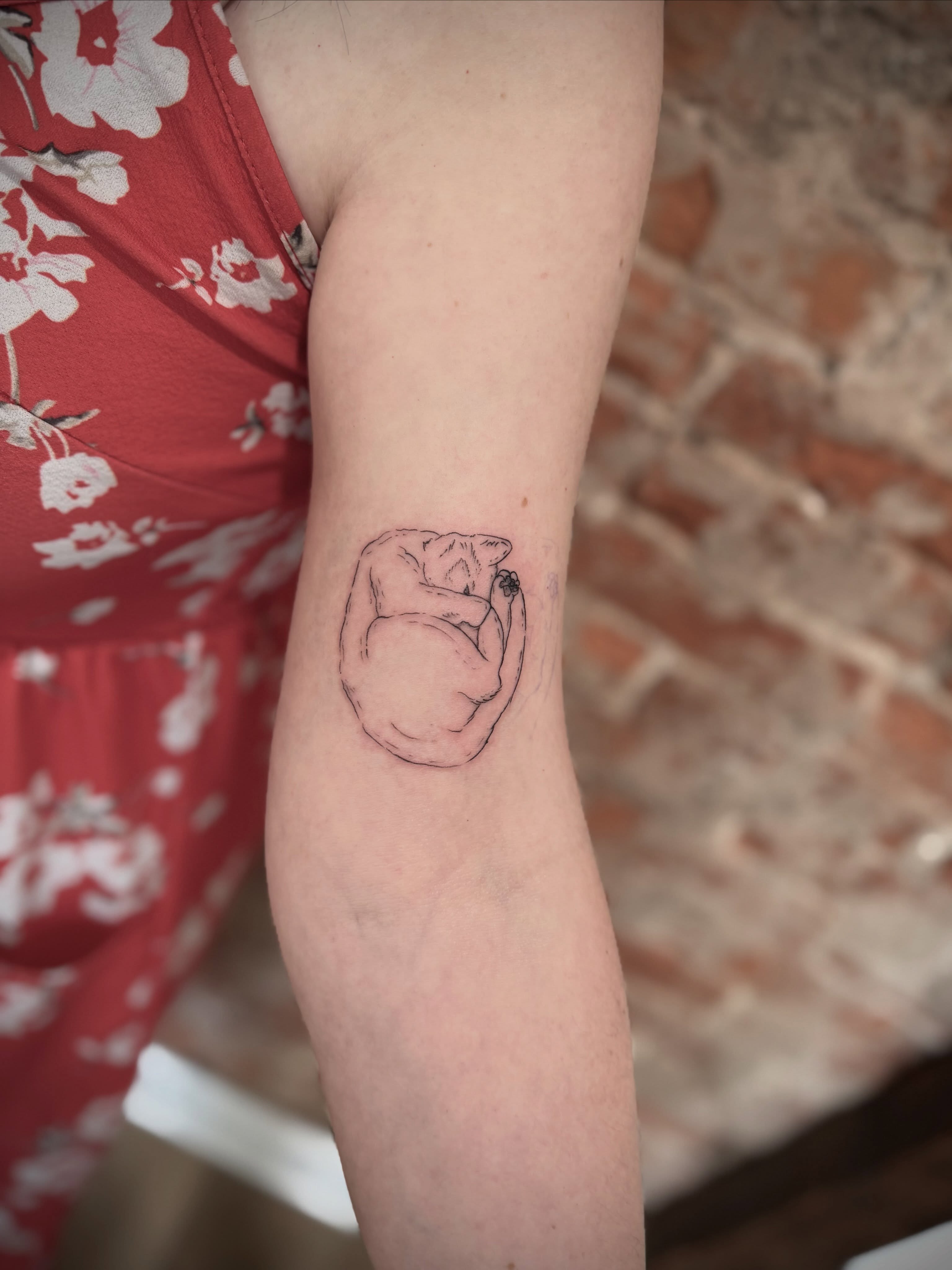 Sleeping cat realism tattoo on the forearm by Daniel Anthony, Philadelphia, Pennsylvania