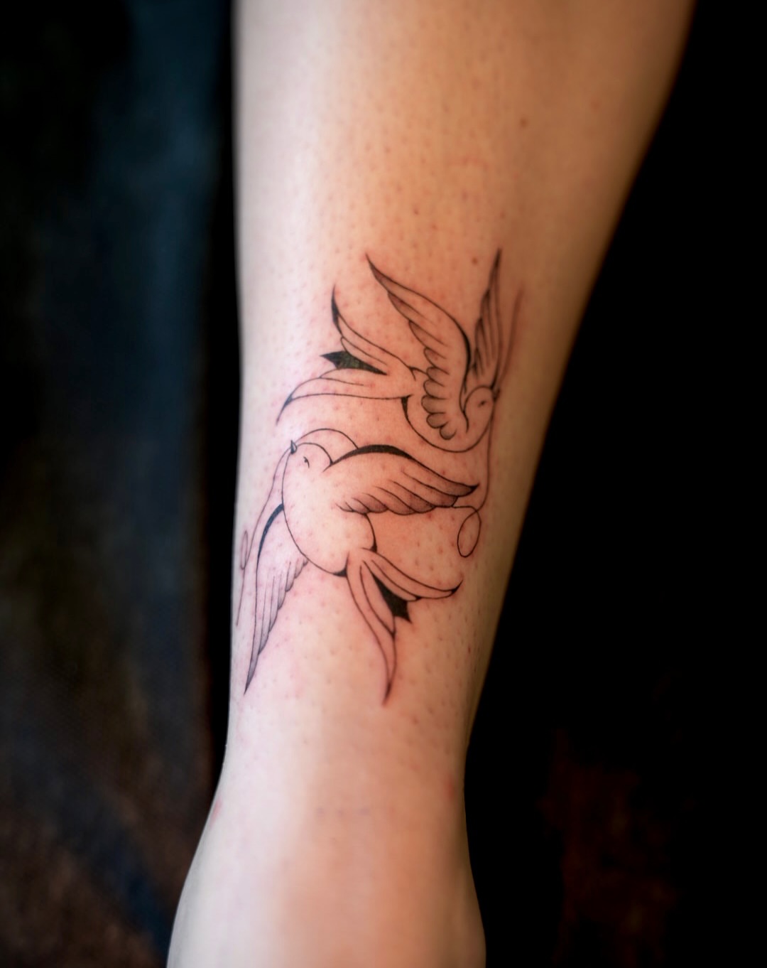 Doves fine line tattoo on the forearm by 🤍 Sarah 🖤