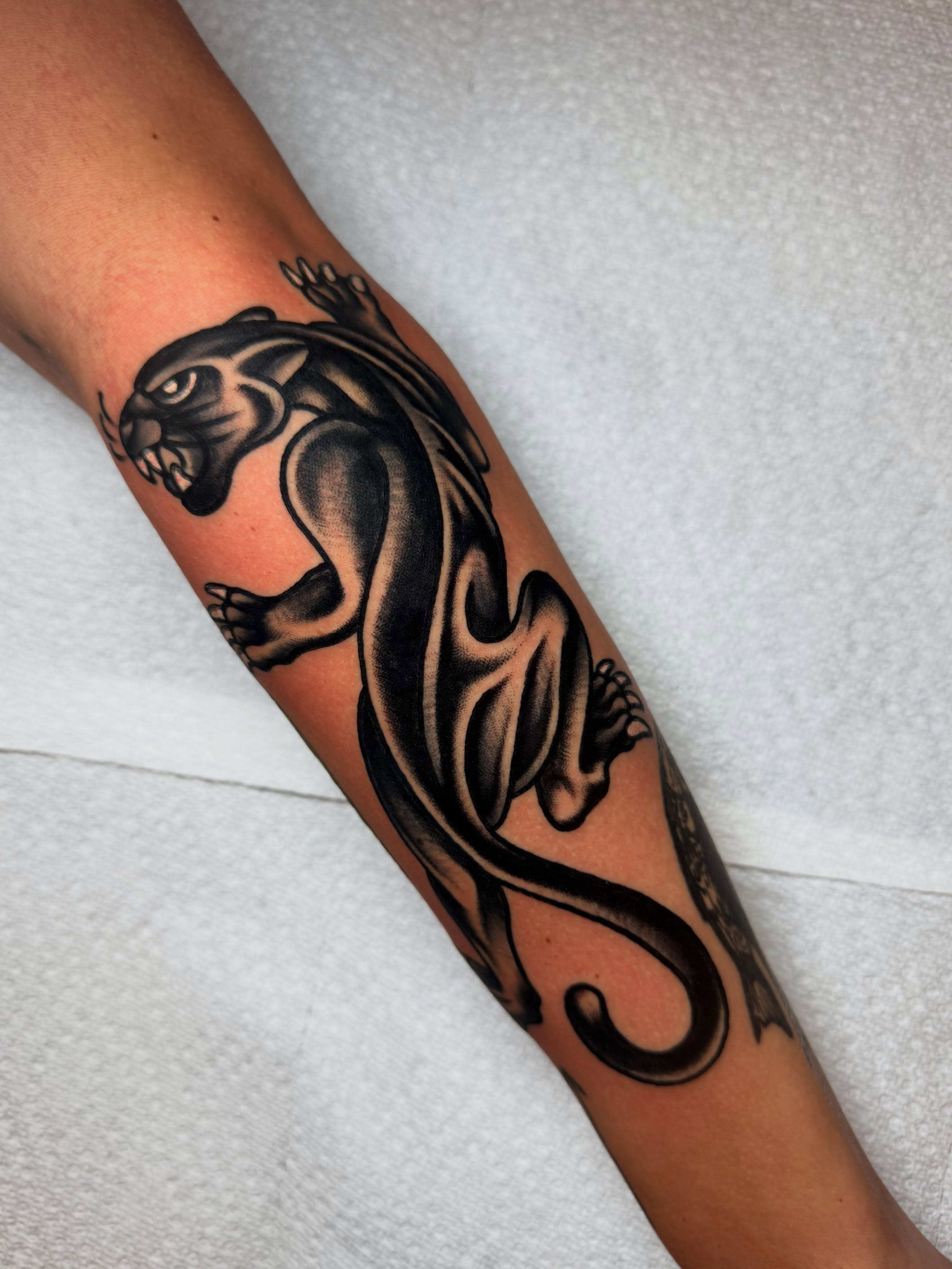Panther tribal tattoo on the forearm by Jonathan Clapp, San Antonio, Texas