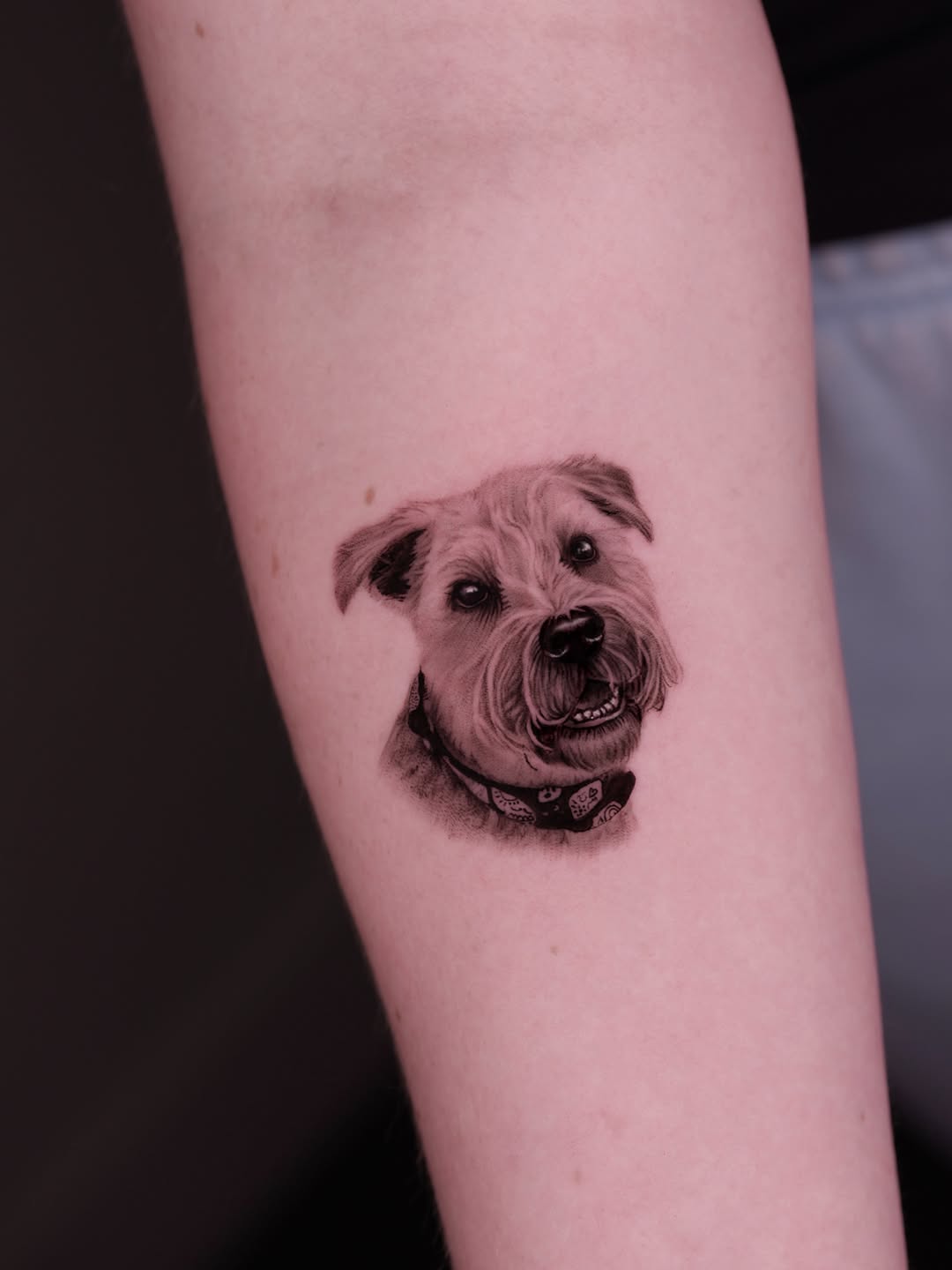 Dog portrait realism tattoo on the forearm by Iro