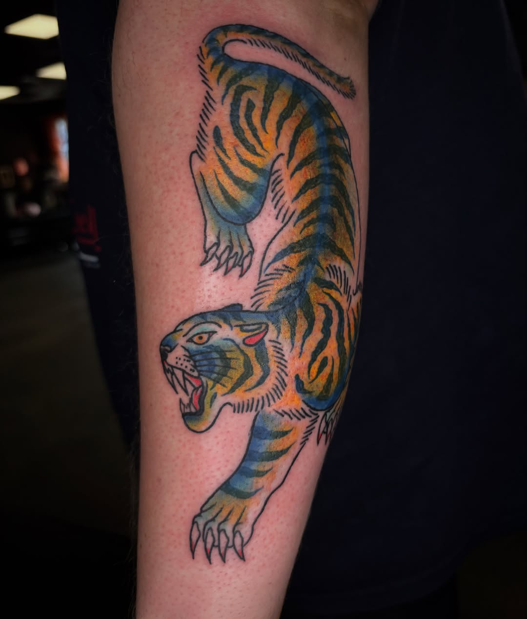 Tiger American traditional tattoo on the forearm by Brett Ferguson