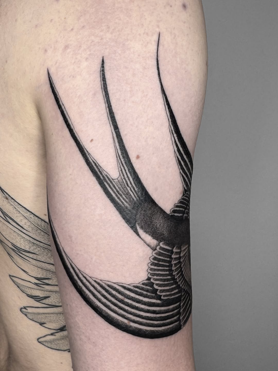 Tattoo by Collin Gribbons, Los Angeles, CA