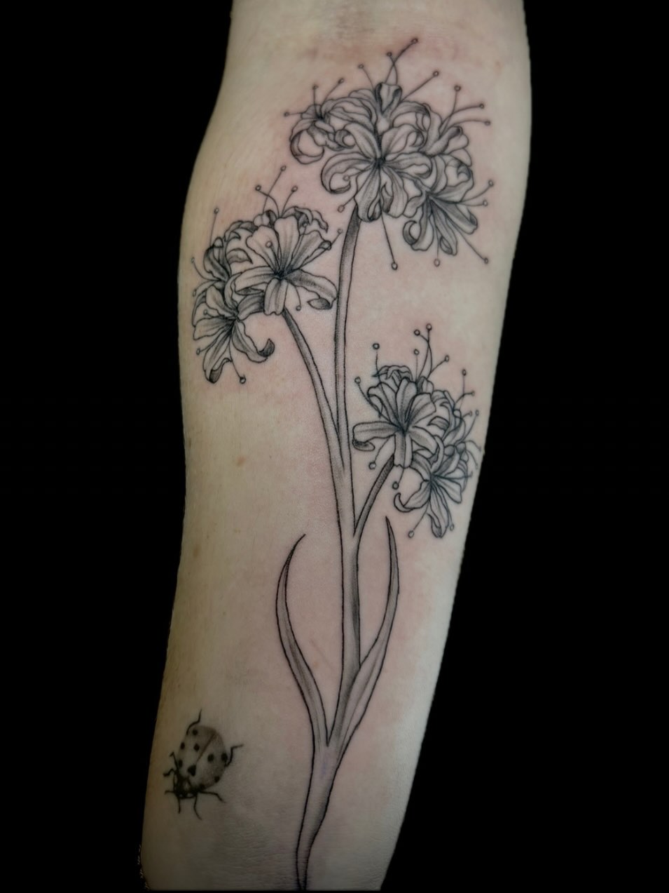 Tattoo by @_theinkwitch_ — black_and_grey