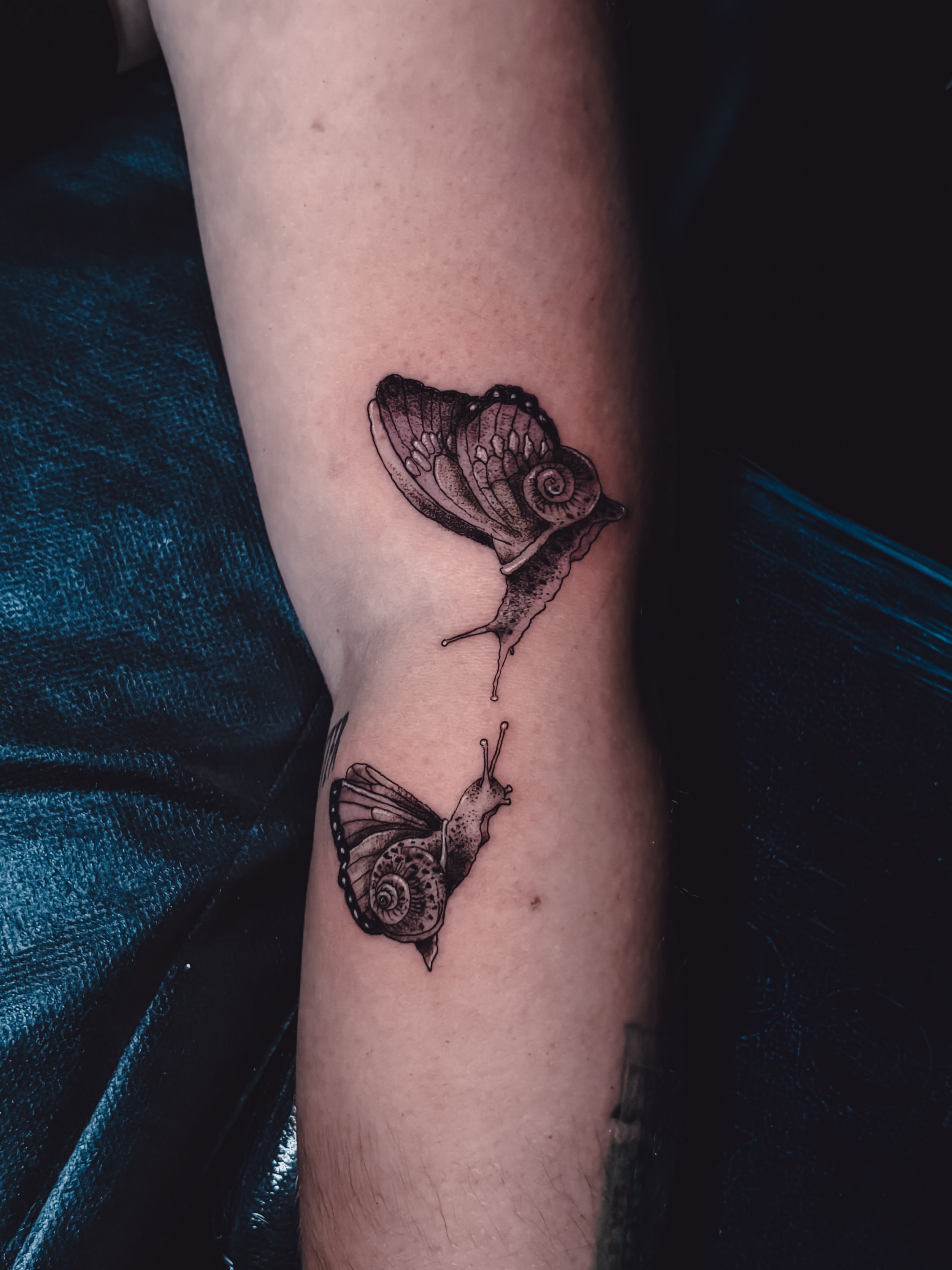 Snail and butterfly realism tattoo on the forearm by Liz Cook