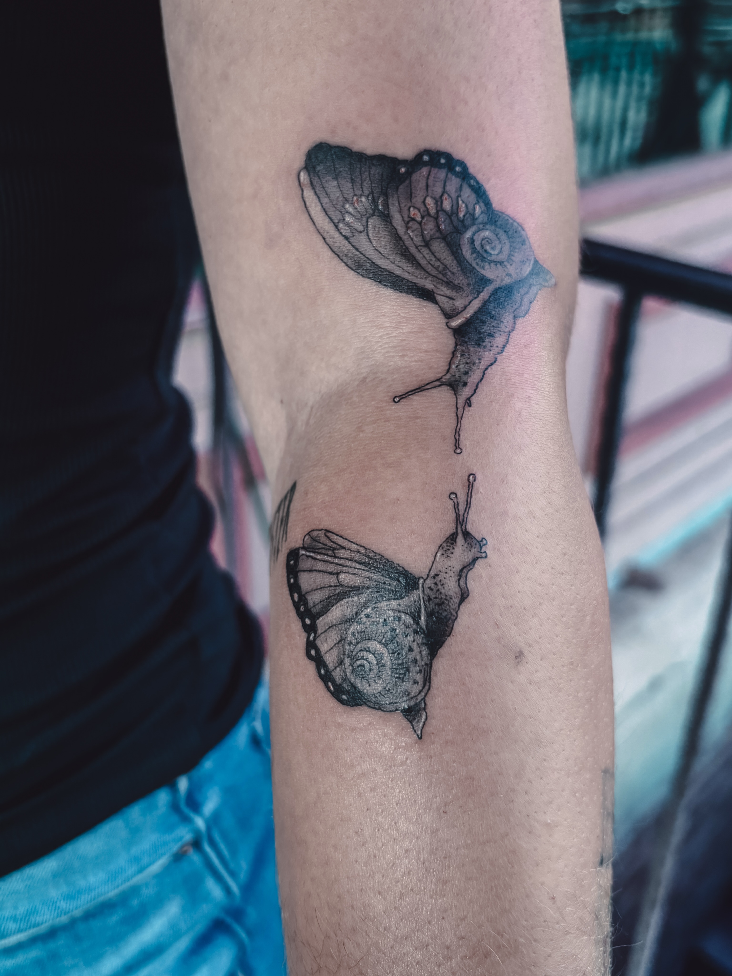 Snail and butterfly realism tattoo on the forearm by Liz Cook