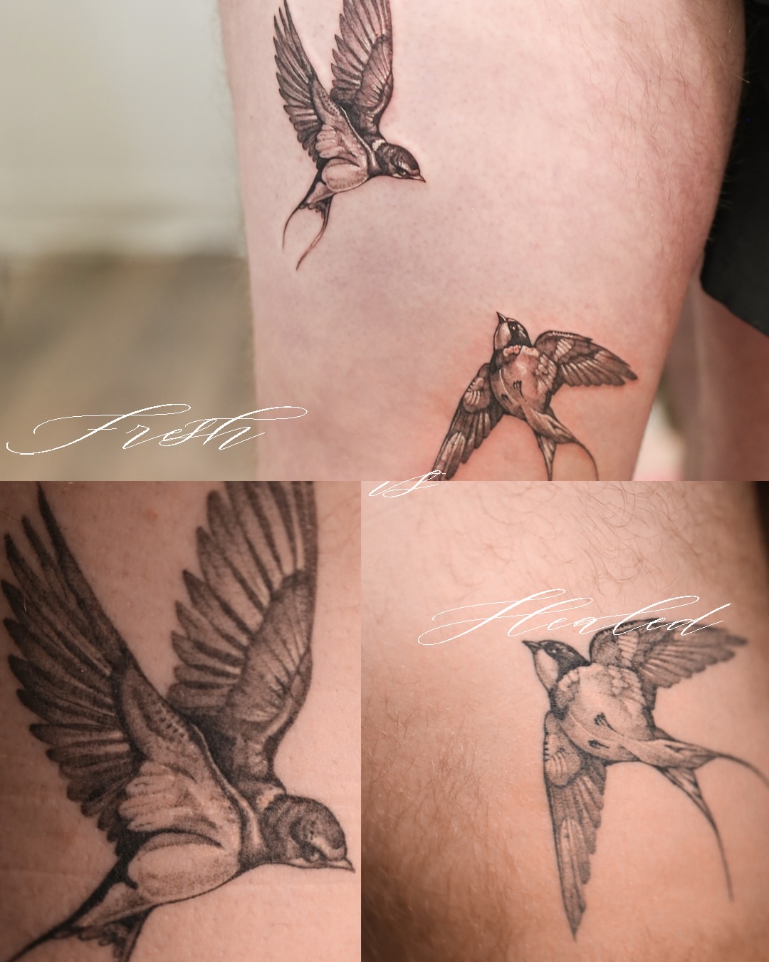Swallow black and grey tattoo on the forearm by Inna Petrova, Kitchener, Ontario