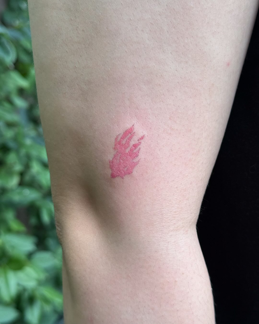 Tattoo by @gimgingi — dotwork
