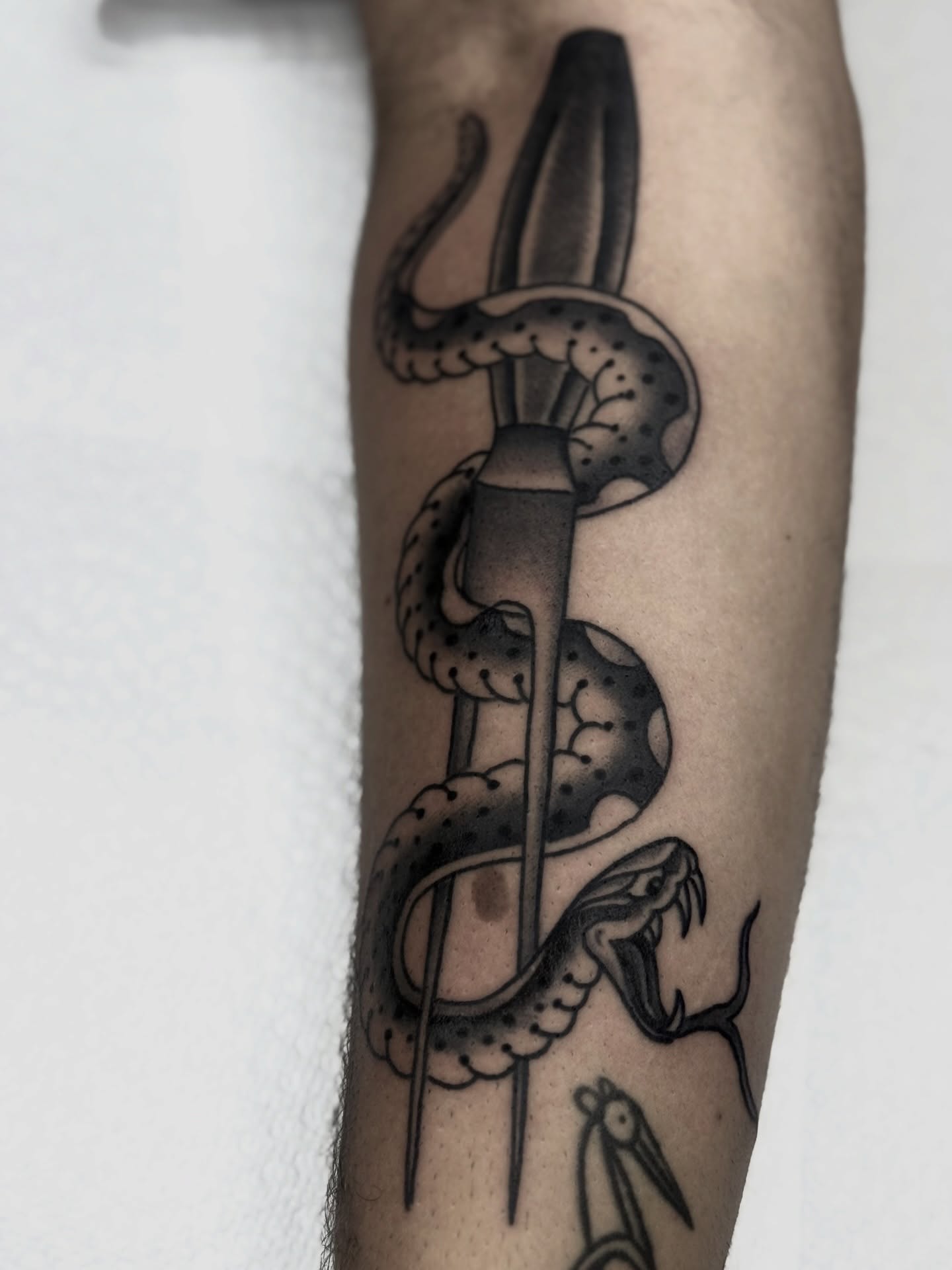 Snake and dagger American traditional tattoo on the forearm by Domanick Libretti, Nashville, Tennessee
