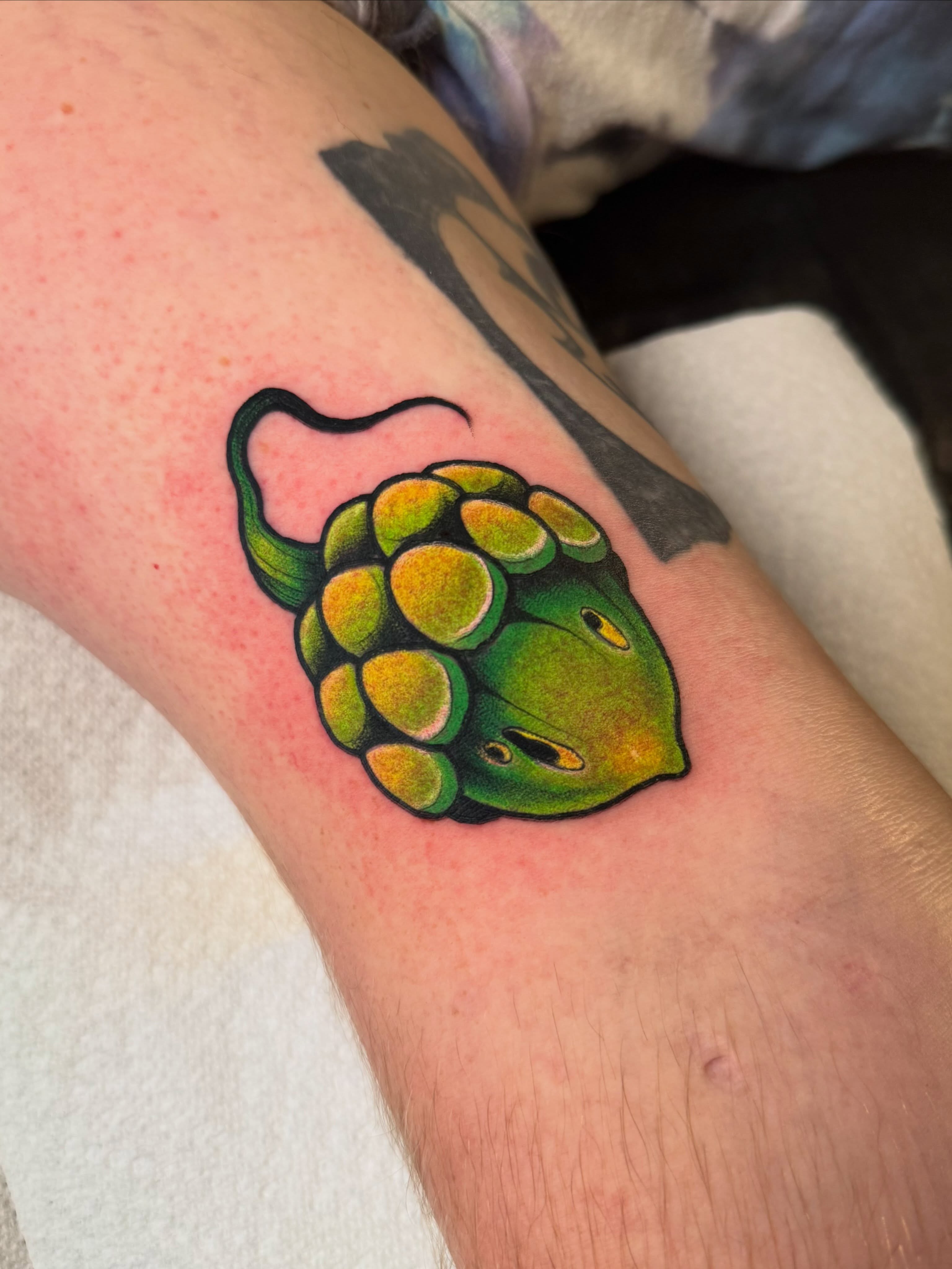 Frog realism tattoo on the forearm by Jess Longfield, Des Moines, Iowa