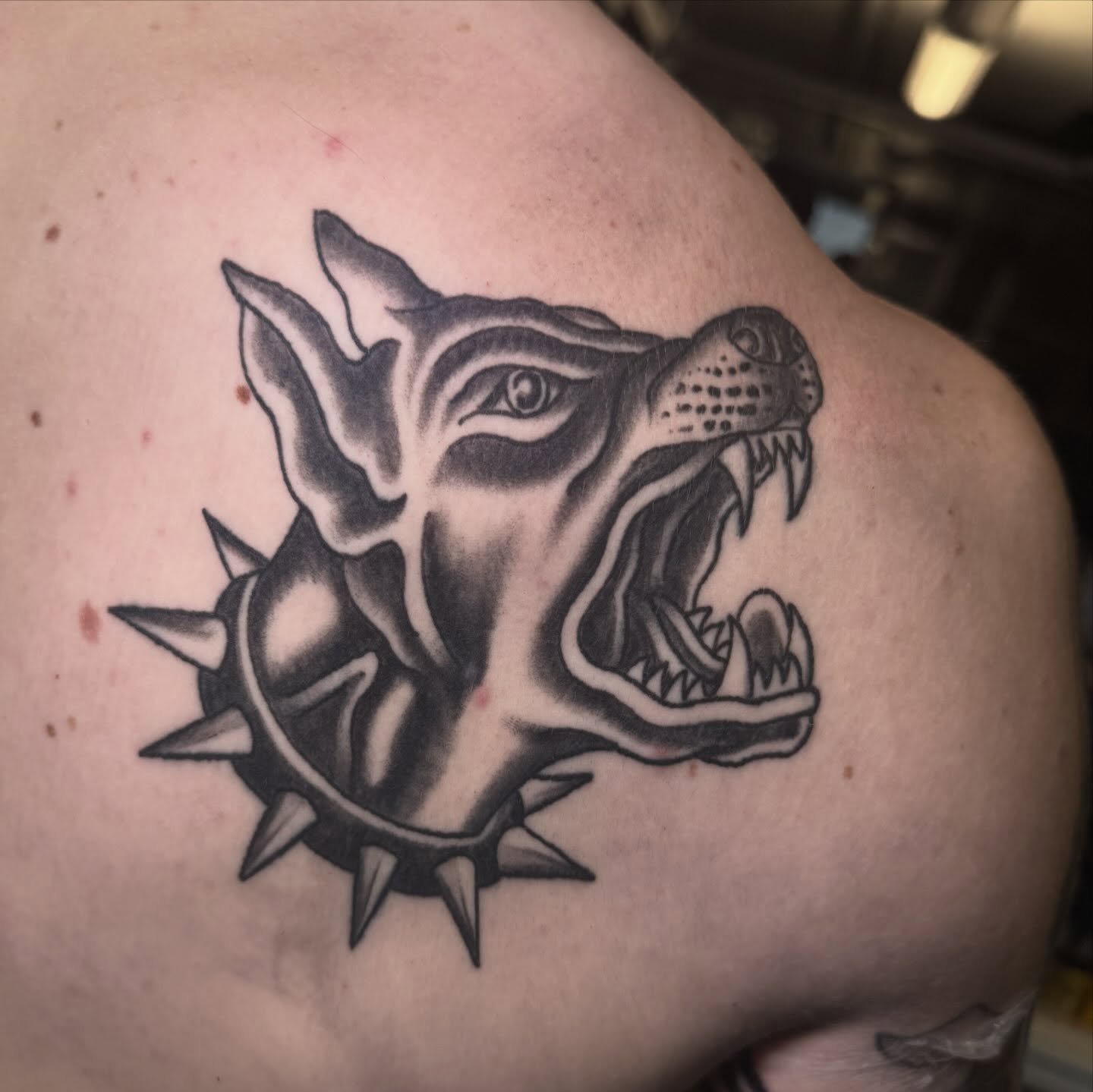 Roaring dog black and grey tattoo on the shoulder by Mtctattoos