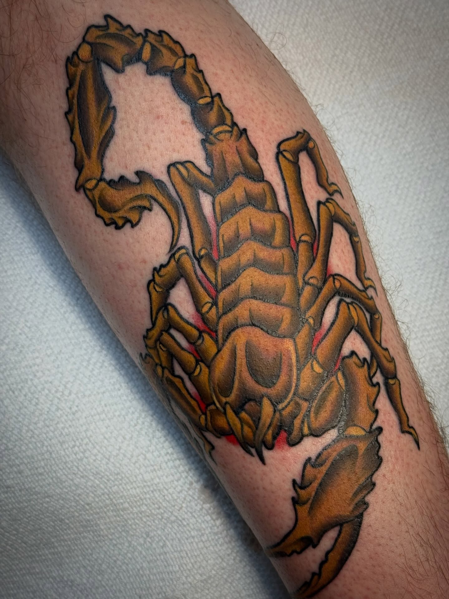 Tattoo by @n8.balltattoos — american_traditional