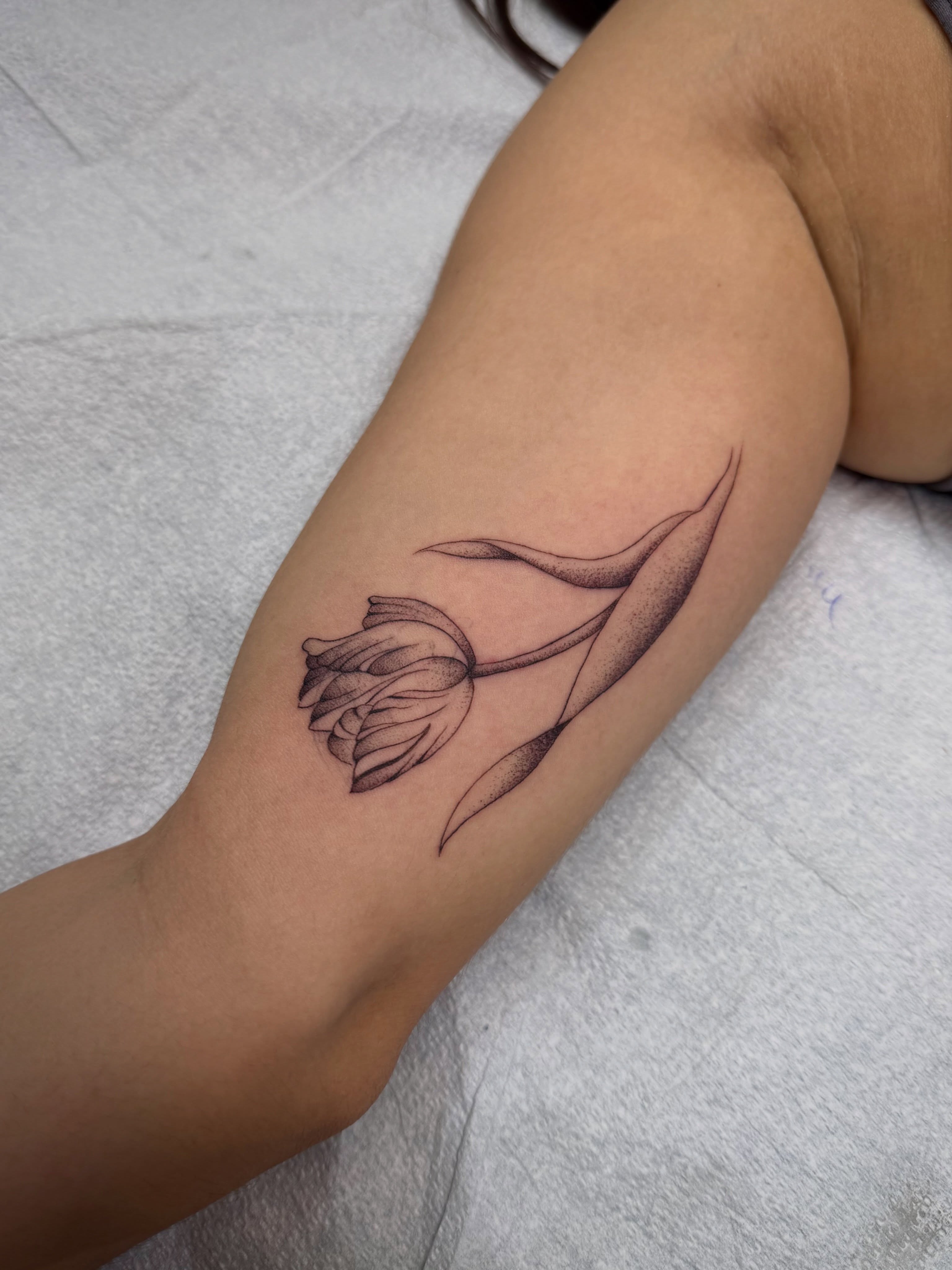 Lotus flower dotwork tattoo on the forearm by christian martinez