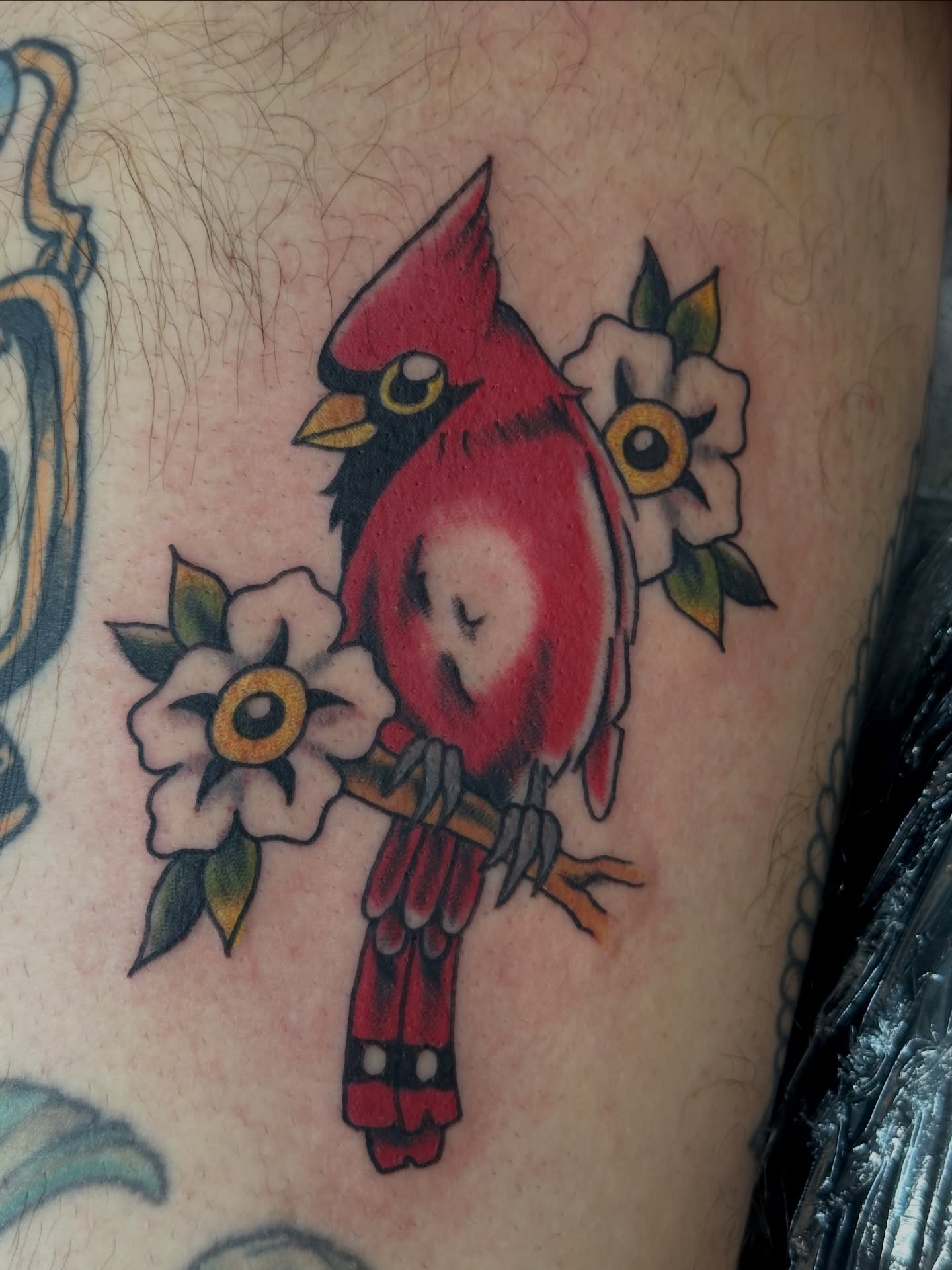 Cardinal bird American traditional tattoo on the thigh by julian solis, Houston, Texas