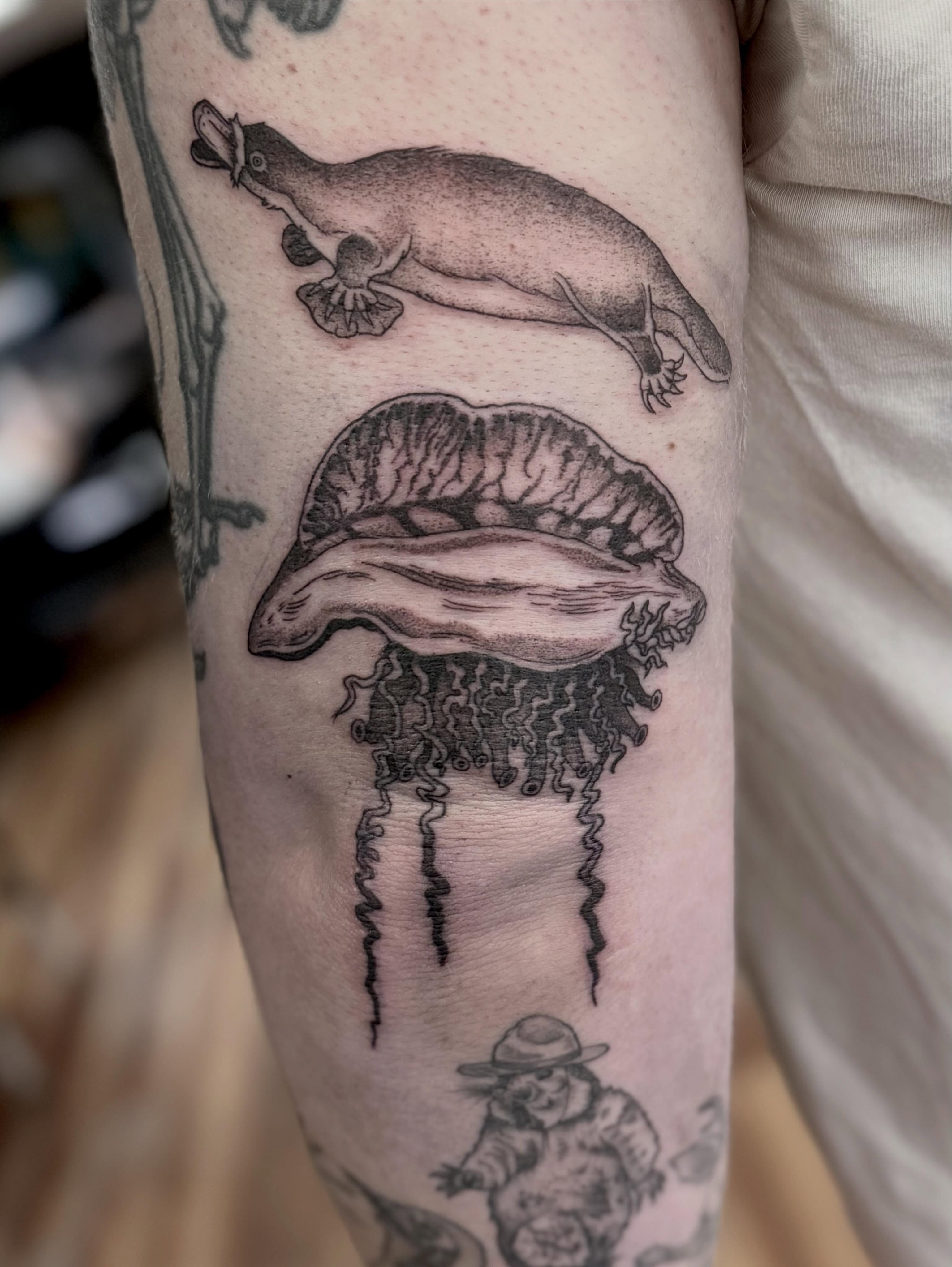 Jellyfish black and grey tattoo on the forearm by Katie Stacy