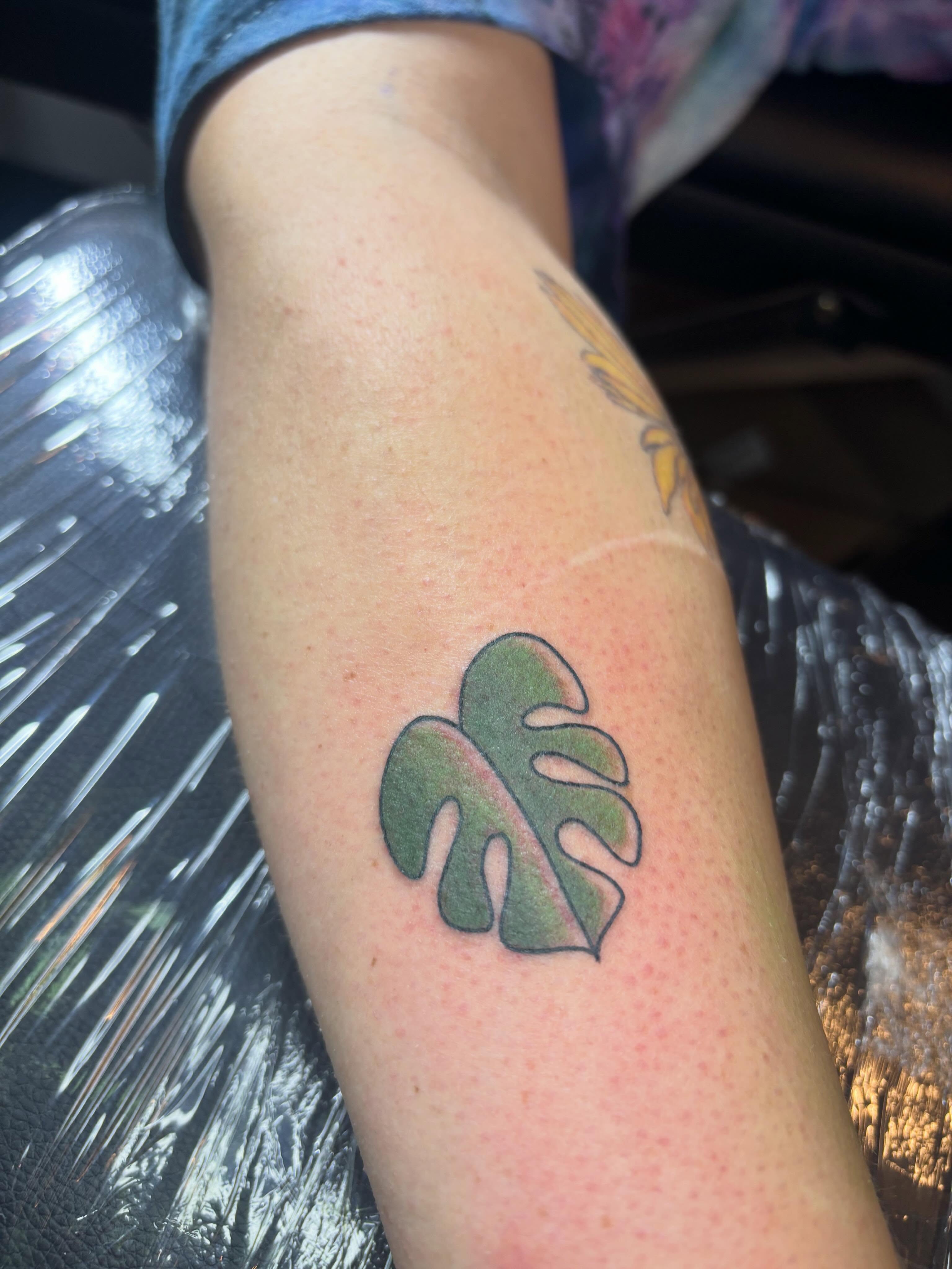 Monstera leaf dotwork tattoo on the forearm by Malia Clark