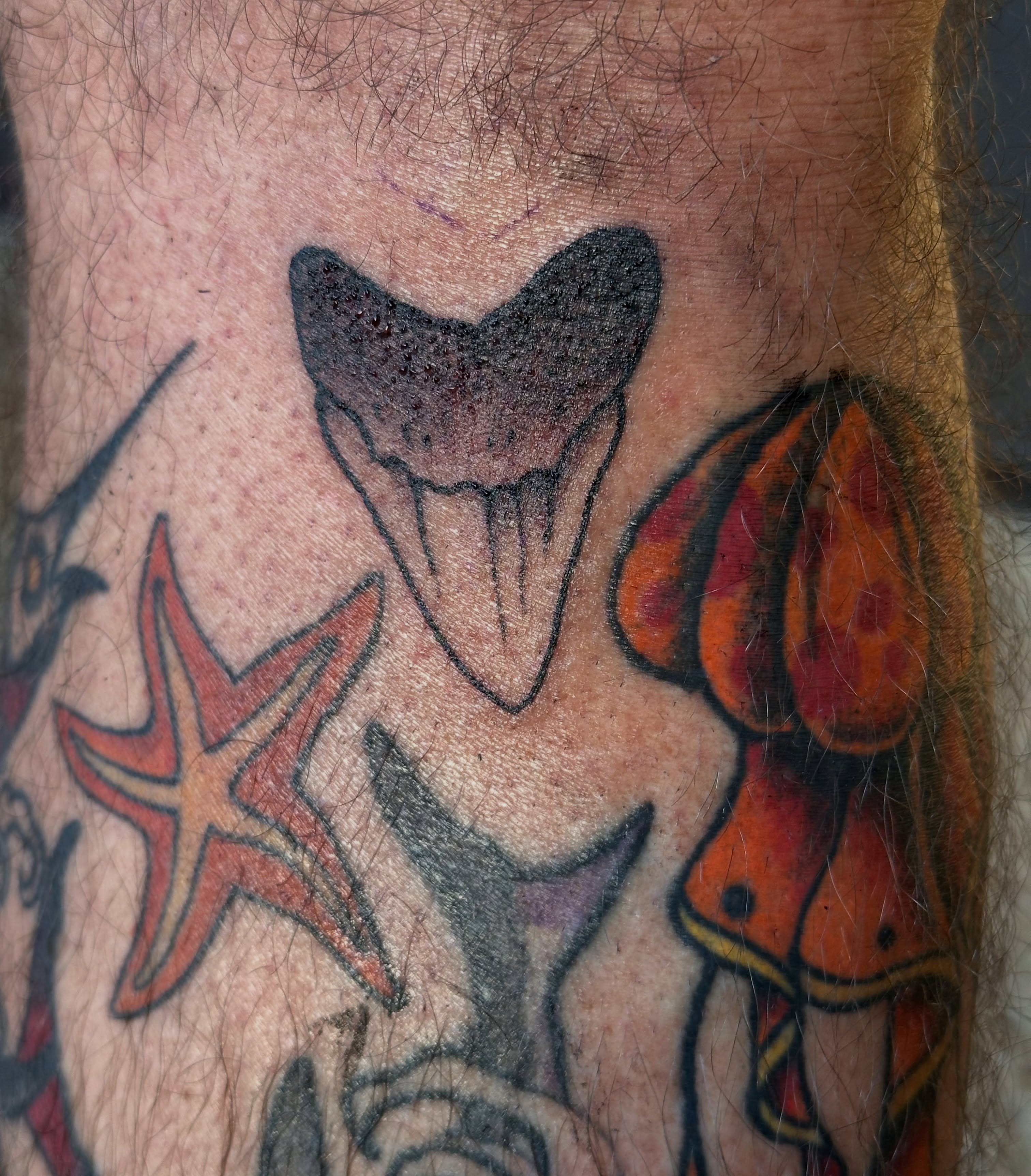 Dinosaur skull American traditional tattoo on the forearm by Gabriel F Kingston Beitia