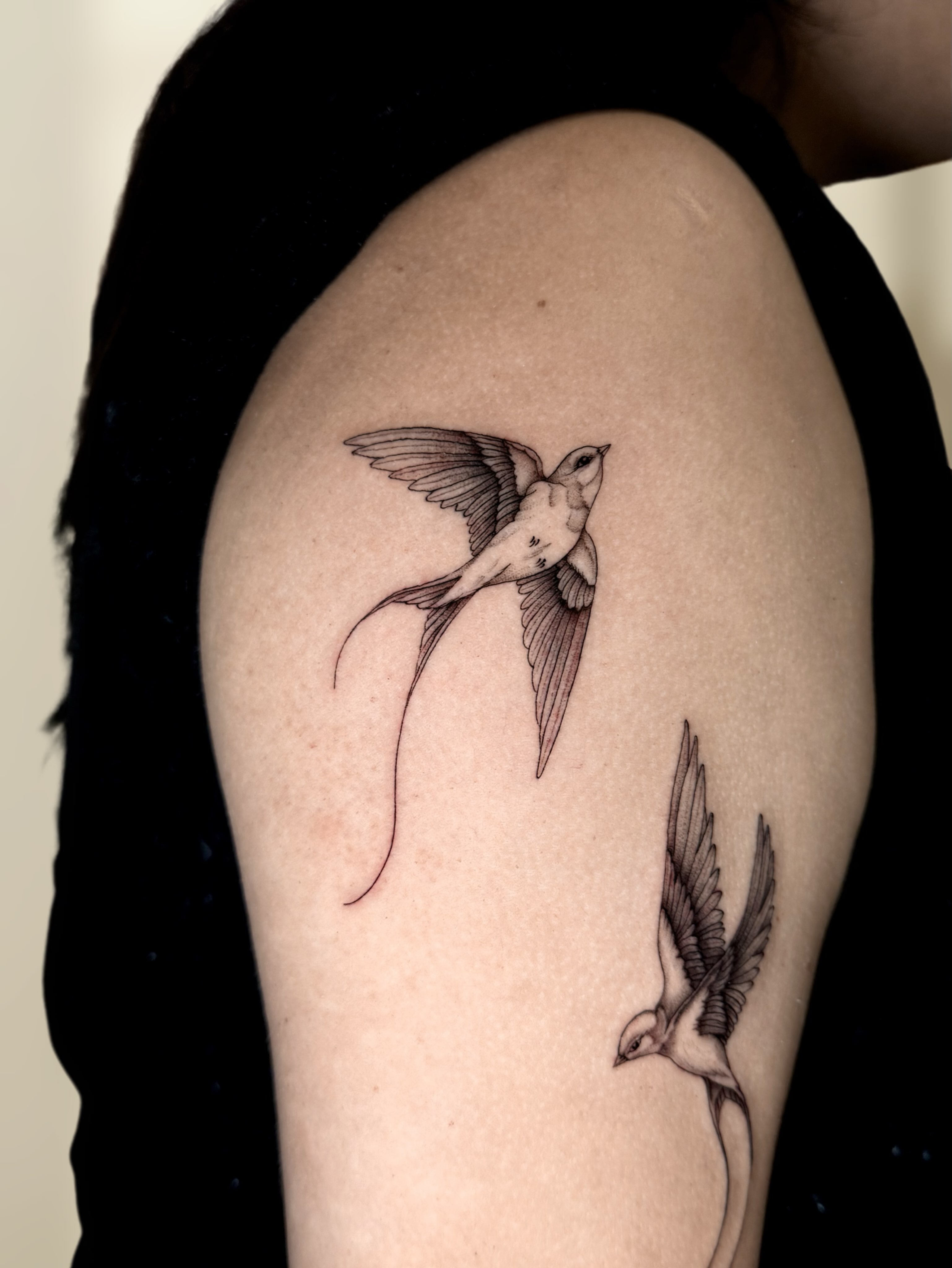 Swallows black and grey tattoo on the shoulder by Ingrid Rojas