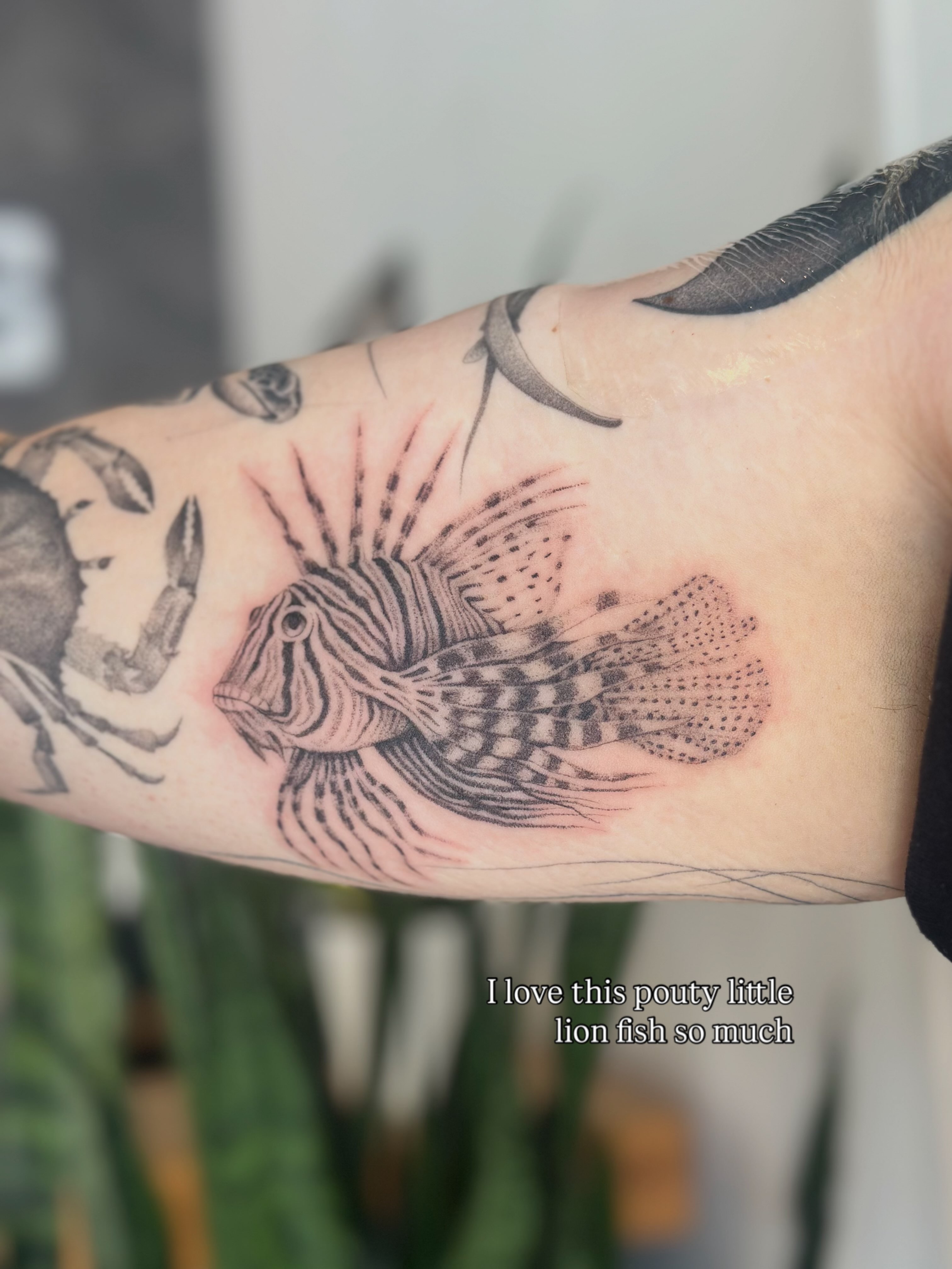 Lion fish realism tattoo on the forearm by sara scak, Lakewood, Ohio