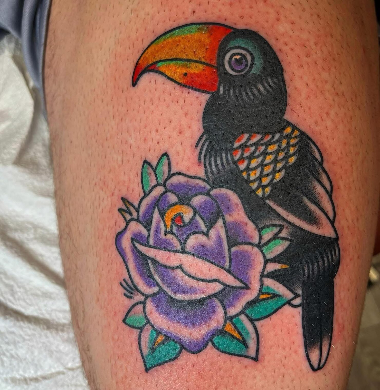 Toucan and rose American traditional tattoo on the thigh by Arron Albaugh