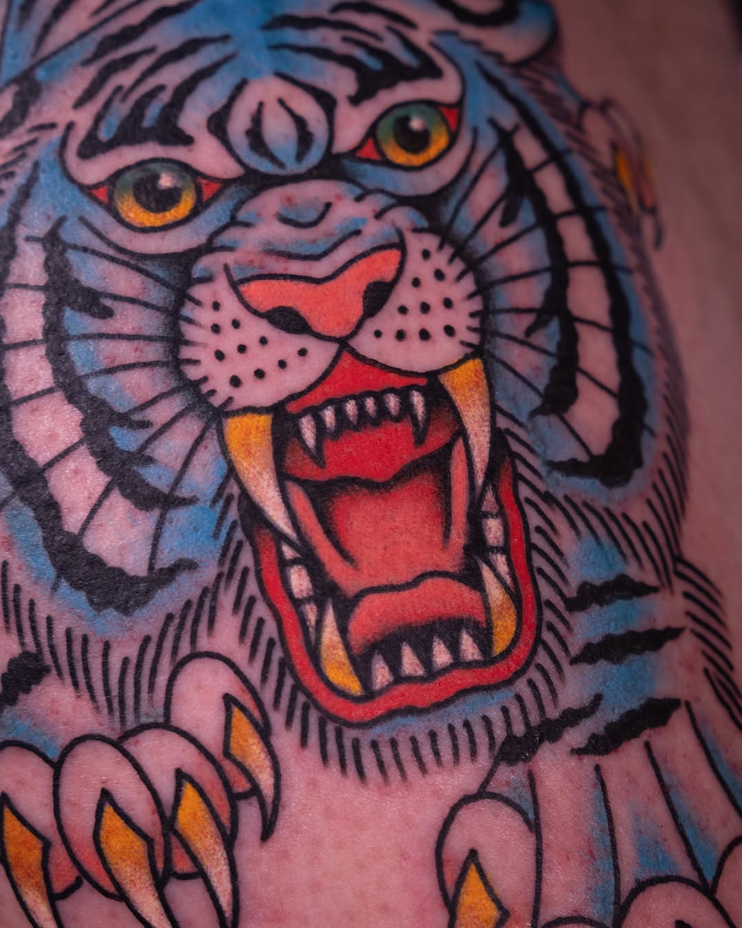 Tiger American traditional tattoo on the shoulder by Justin Rakowski