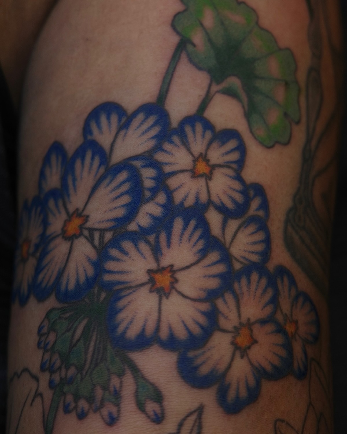 Morning glory flowers American traditional tattoo on the forearm by Sequoia Rose, Portland, Oregon