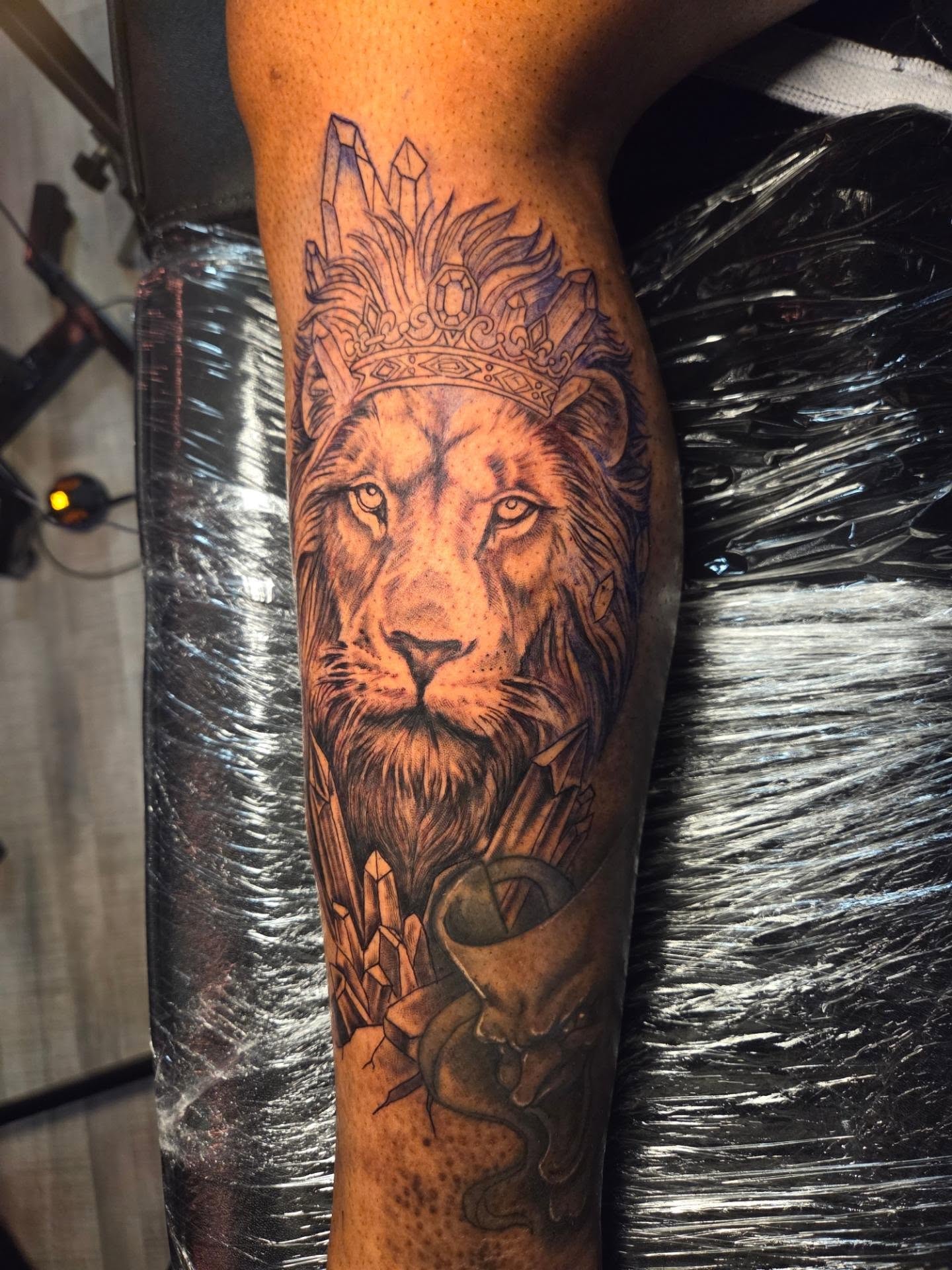 Lion realism tattoo on the forearm by Klazzik Mayfield, Fort Lauderdale, Florida