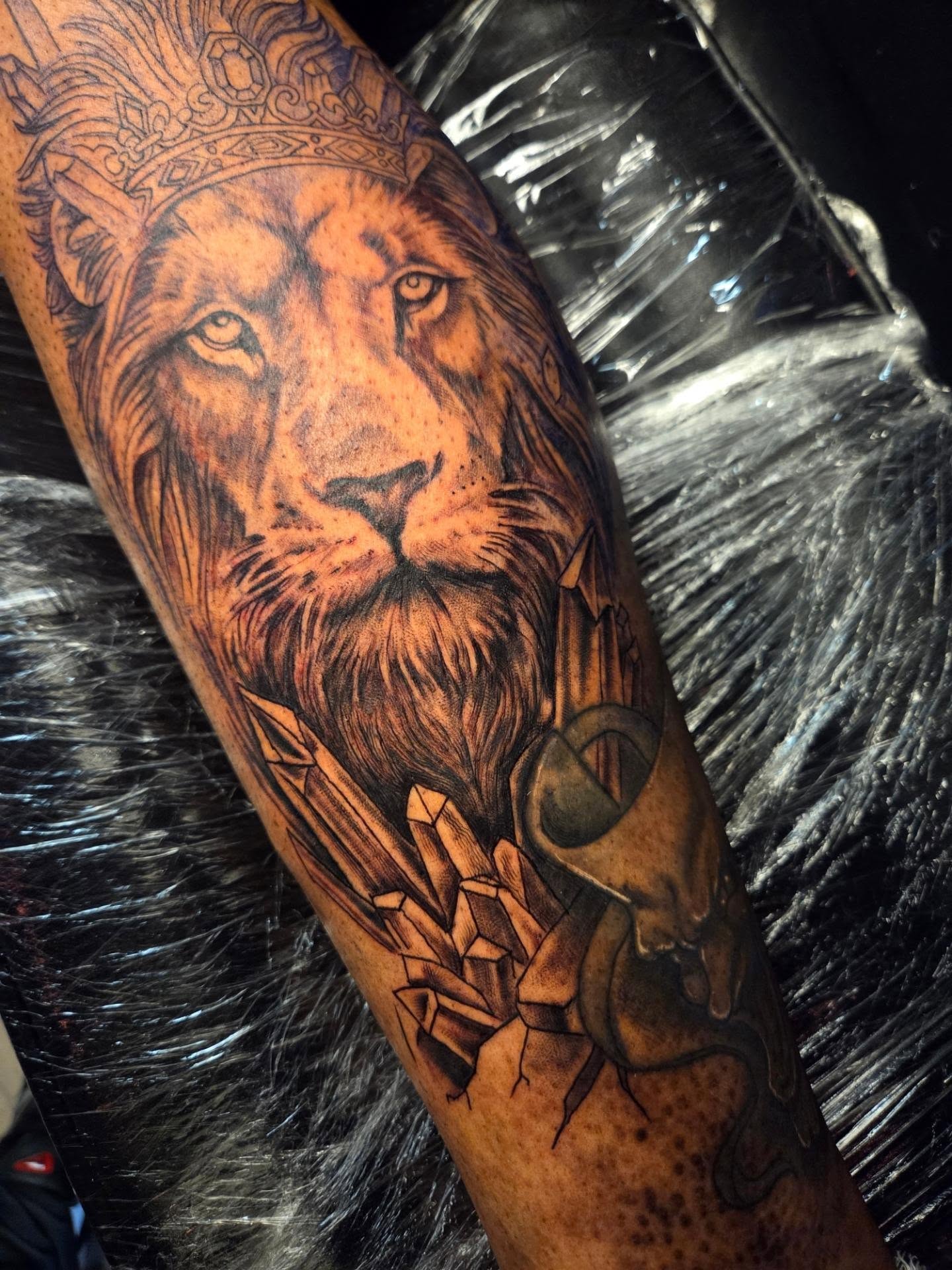 Lion realism tattoo on the forearm by Klazzik Mayfield, Fort Lauderdale, Florida