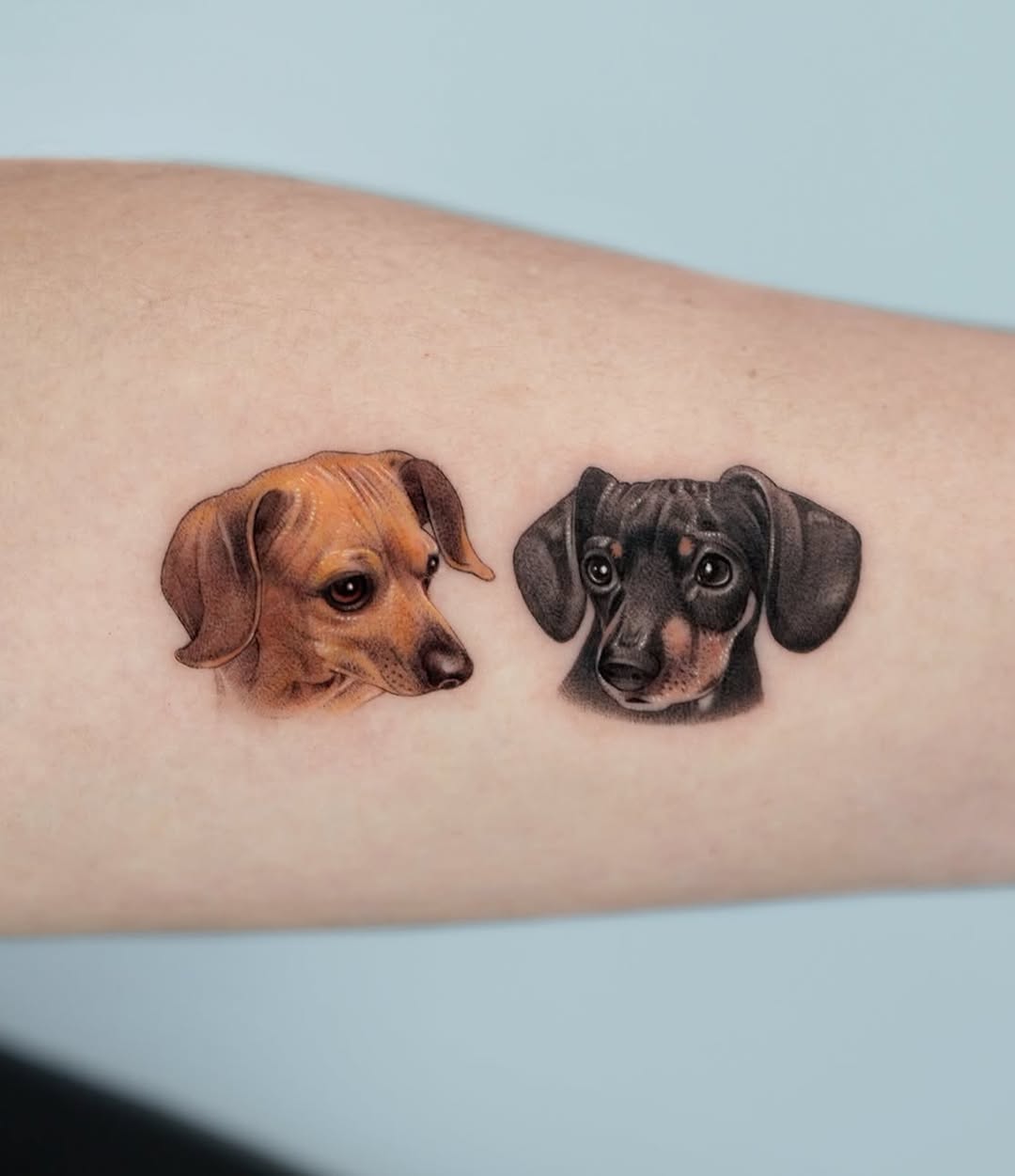 Tattoo by @zeal_tattoo — realism, black_and_grey