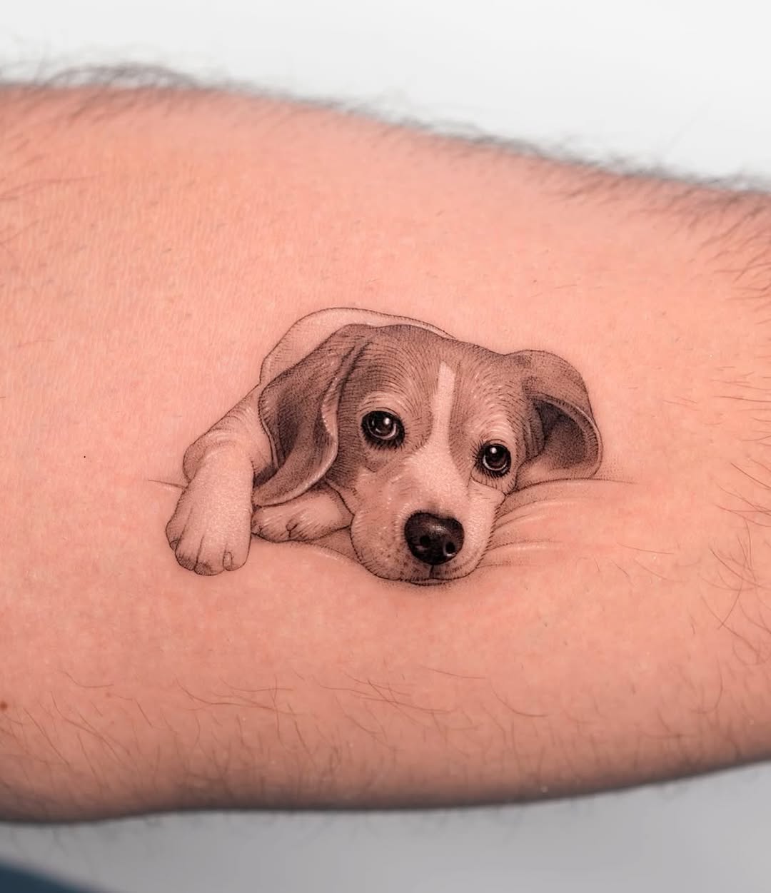 Tattoo by @zeal_tattoo — realism, black_and_grey