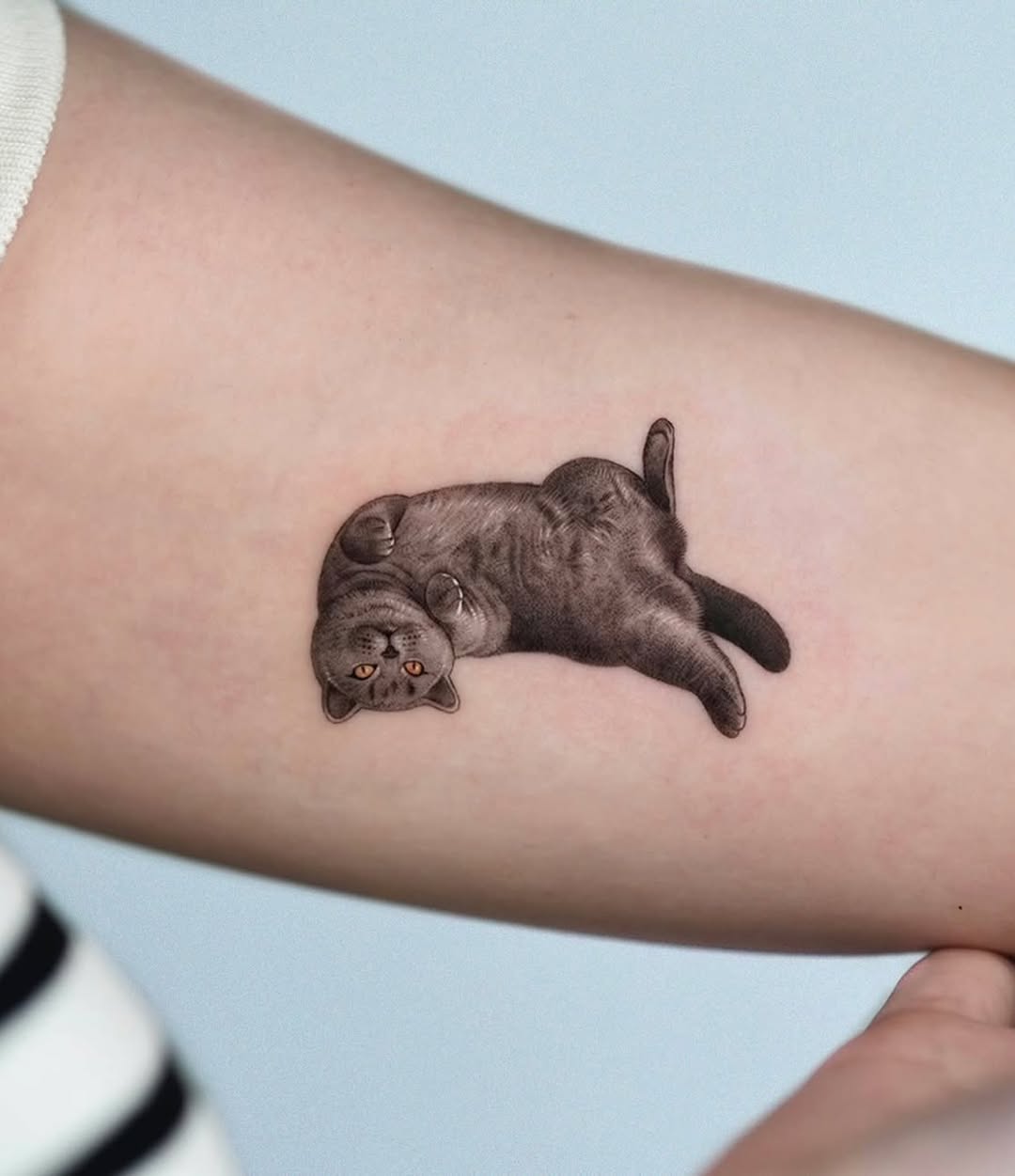 Tattoo by @zeal_tattoo — realism, black_and_grey