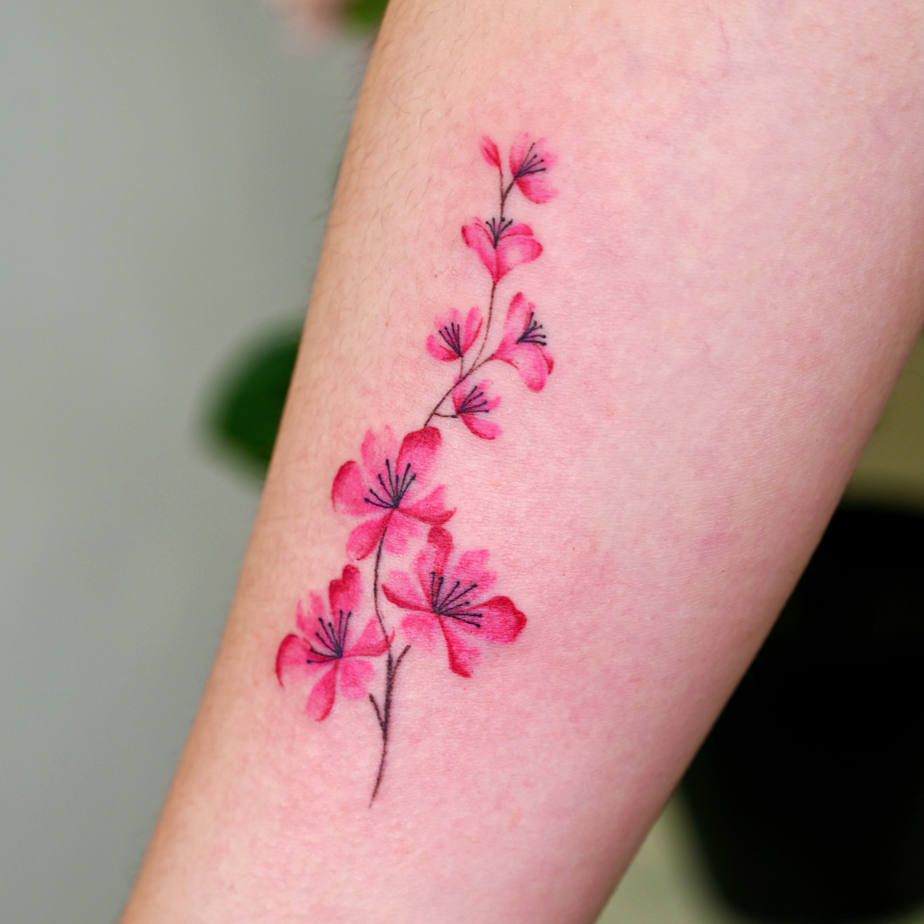 Tattoo by @tattooist_urban — watercolor