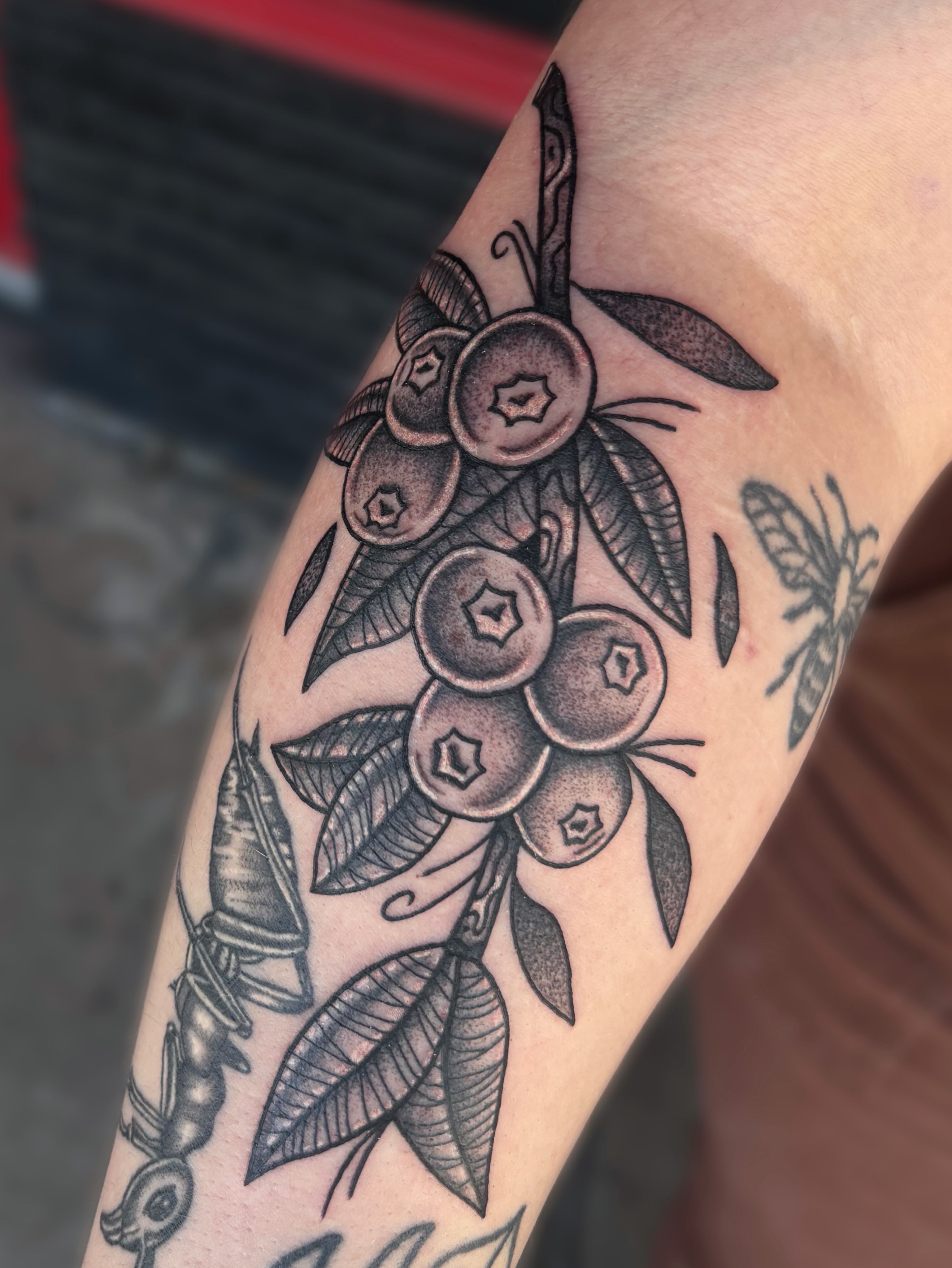 Blueberries and leaves black and grey tattoo on the forearm by Ava Brady Tattoos