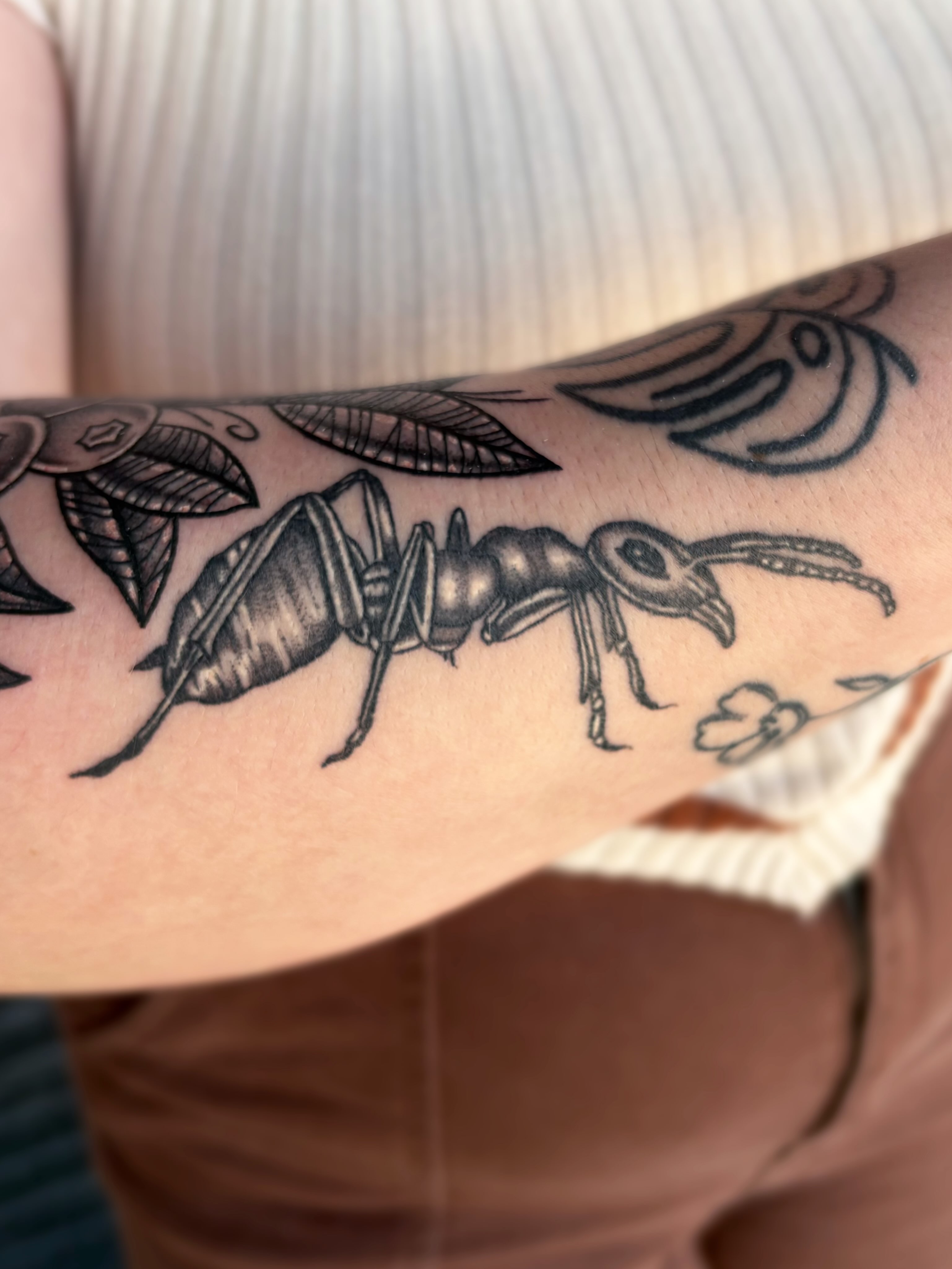 Ant black and grey tattoo on the forearm by Ava Brady Tattoos