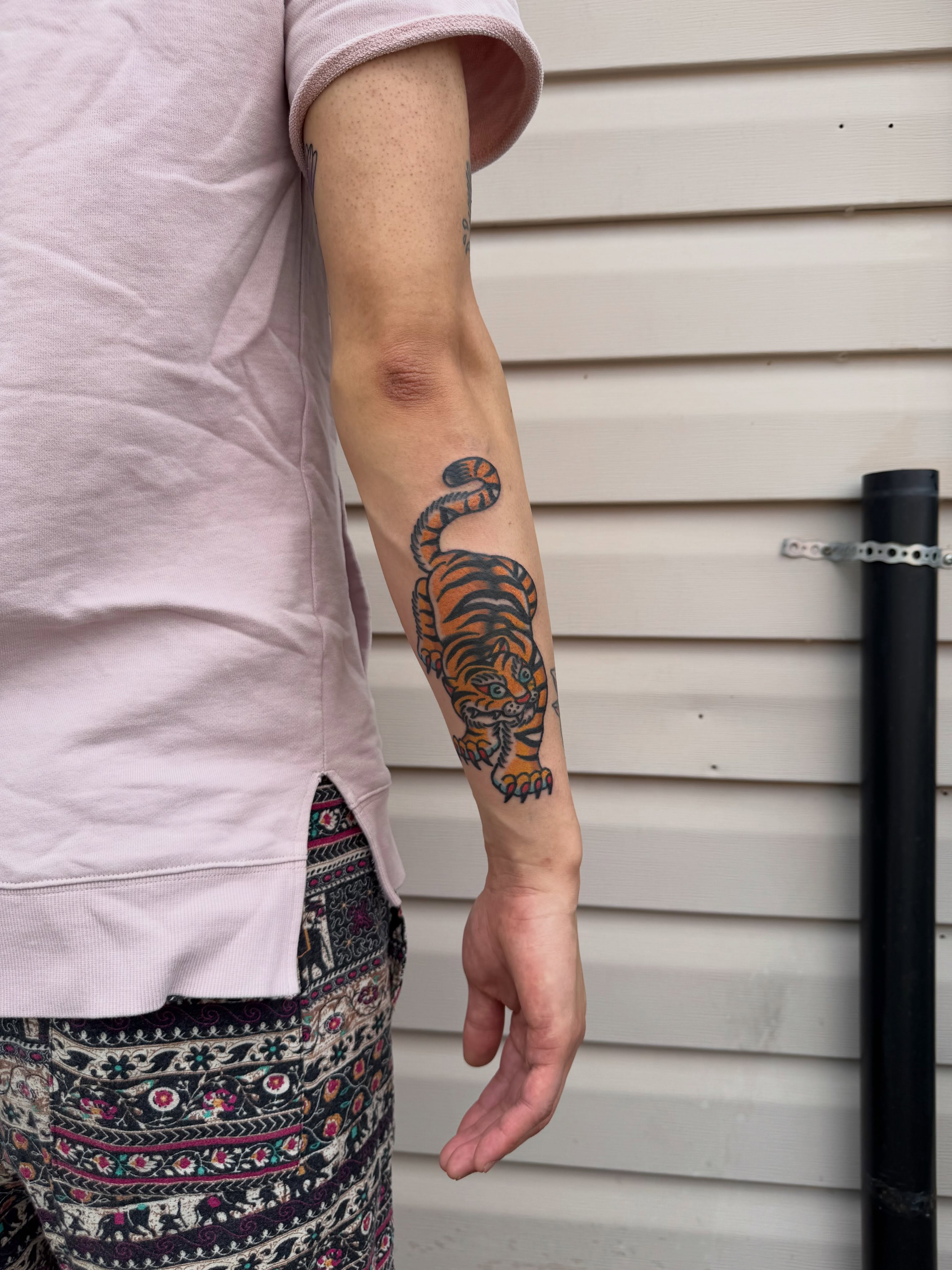 Tiger American traditional tattoo on the forearm by Oldschool Tattooer