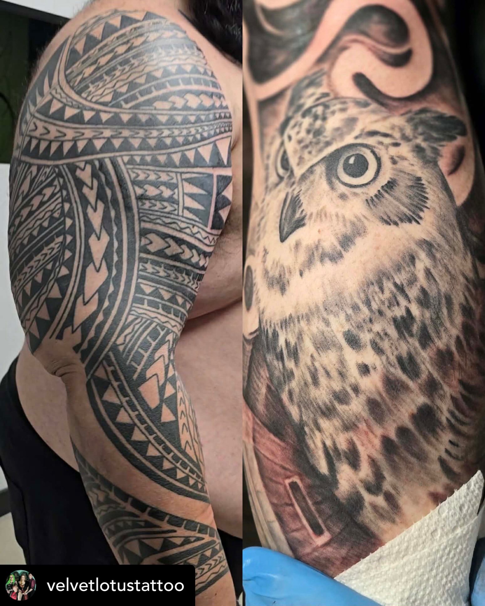 Owl realism tattoo on the forearm by Michelle Balhan