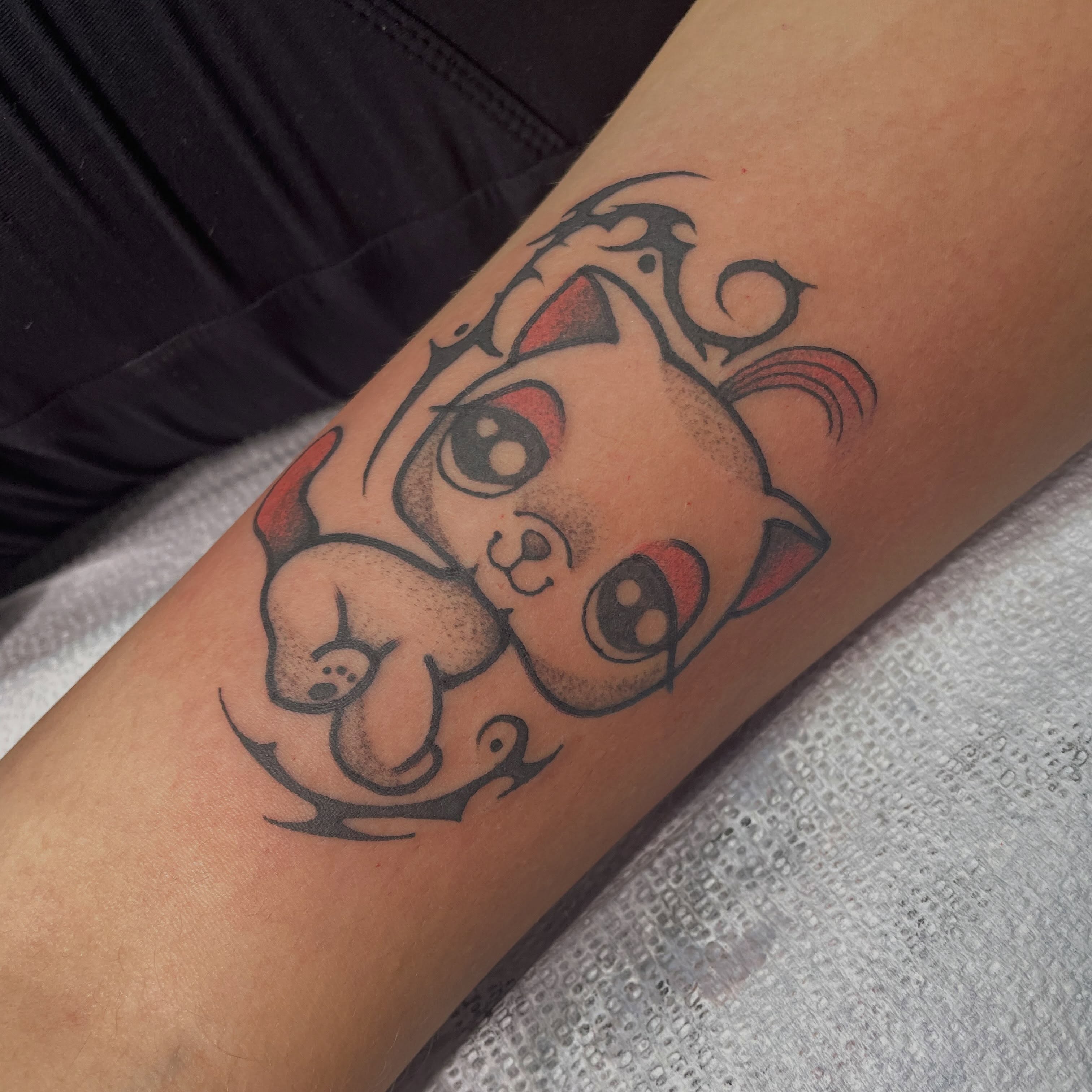 Cat American traditional tattoo on the forearm by Fionna Fanning