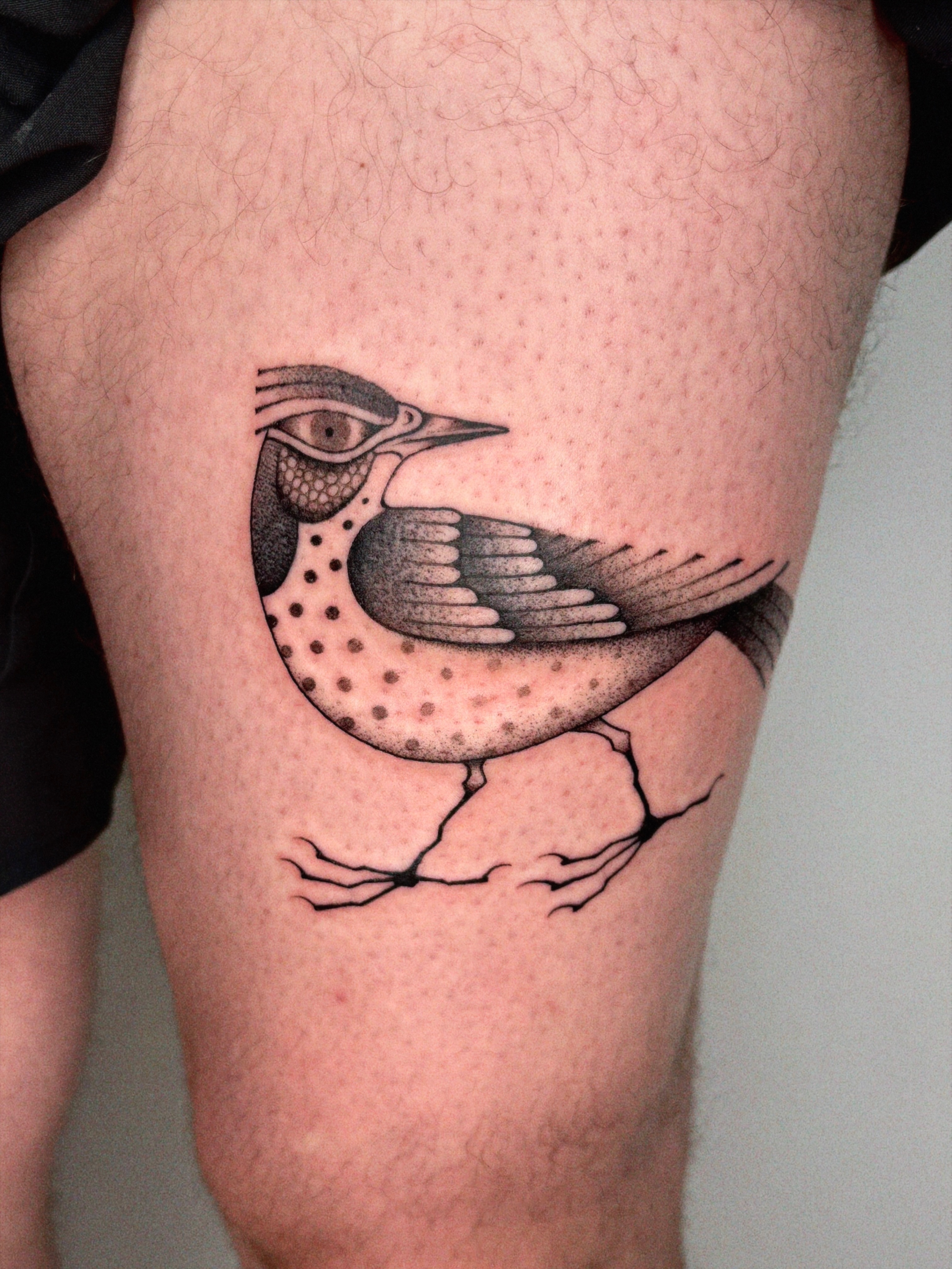 Bird dotwork tattoo on the thigh by @inkshame